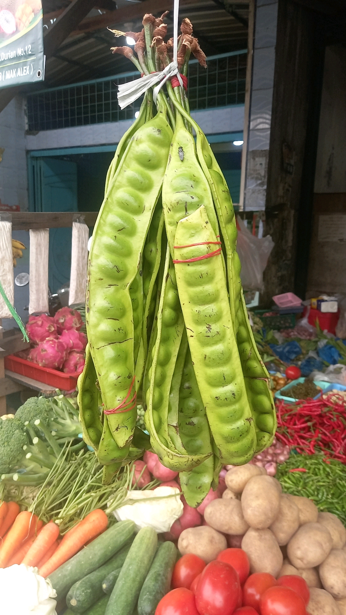 A stall at the City of Medan, Indonesia, displays a variety of fresh produce. In the foreground, a cluster of large, green, ribbed legumes hangs from the ceiling, tied with red rubber bands. To the left of the legumes, a pile of bright orange carrots is visible, alongside several green cucumbers and a head of white cabbage. Behind these, a head of broccoli adds a vibrant green to the scene. A red plastic crate filled with pink dragon fruits can be seen to the left of the legumes. In the background, a market stall structure is evident, with a wooden roof and some green grating. Further back, a variety of other vegetables and produce are piled up, including red chilies, green chilies, potatoes, and tomatoes. The overall scene depicts a typical outdoor market setting in Medan, with an emphasis on fresh, locally sourced produce.