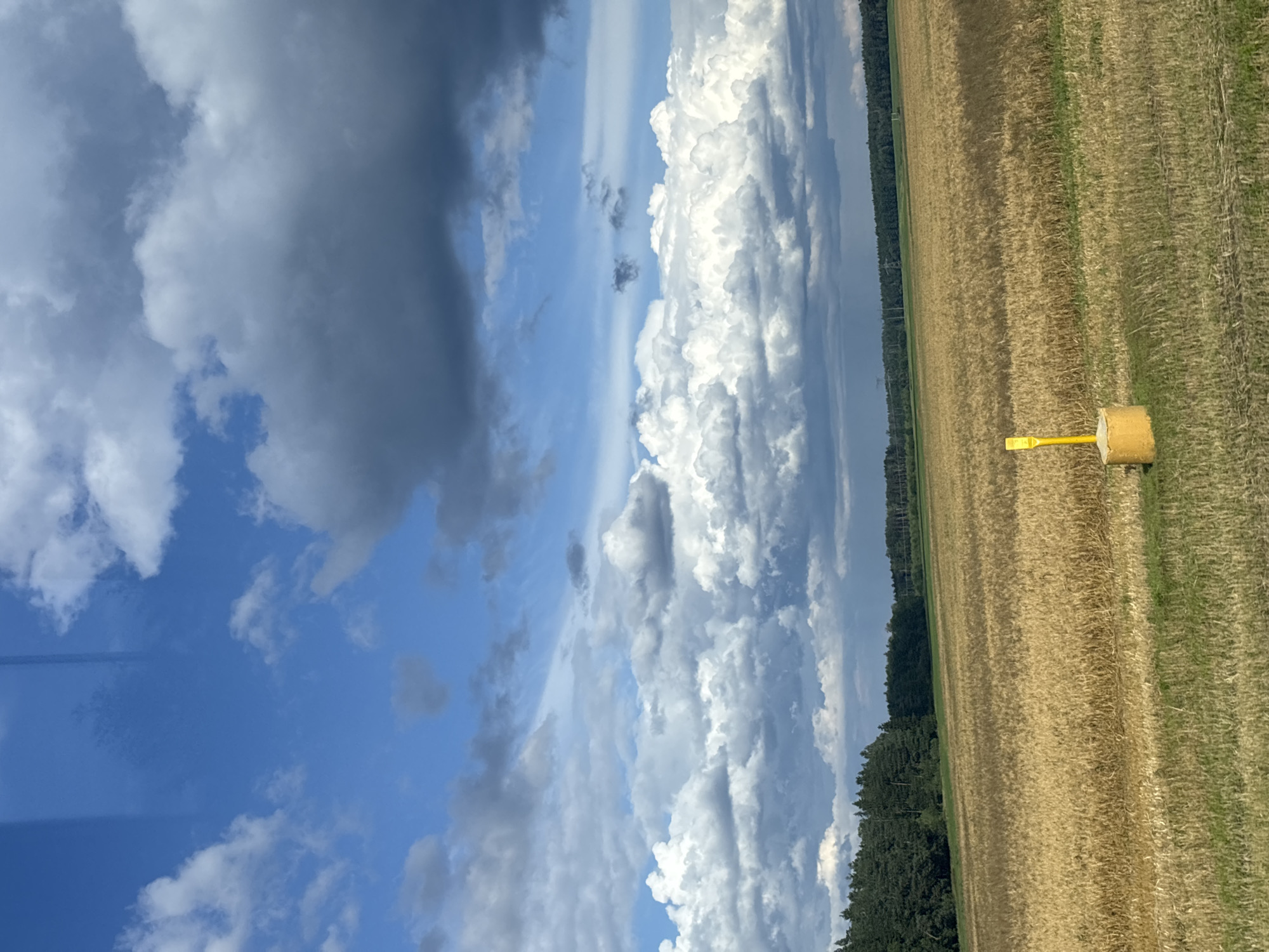 This is a vertical, eye-level, outdoor photograph of a rural landscape under a dynamic sky. The foreground features a field of dry, golden wheat or barley, with some green grass in the very bottom left corner. In the middle ground, a bright yellow markerpost with a concrete base stands in the field. Beyond the field is a dense line of dark green trees, forming a forest edge. In the background, there is a wide expanse of sky filled with a dramatic mix of white, fluffy cumulus clouds and darker, more ominous storm clouds. The overall impression is one of a vast, open agricultural area under a changing weather pattern. The location is identified as Грозаўскі сельскі Савет, Belarus. There are no people or animals visible in the image.