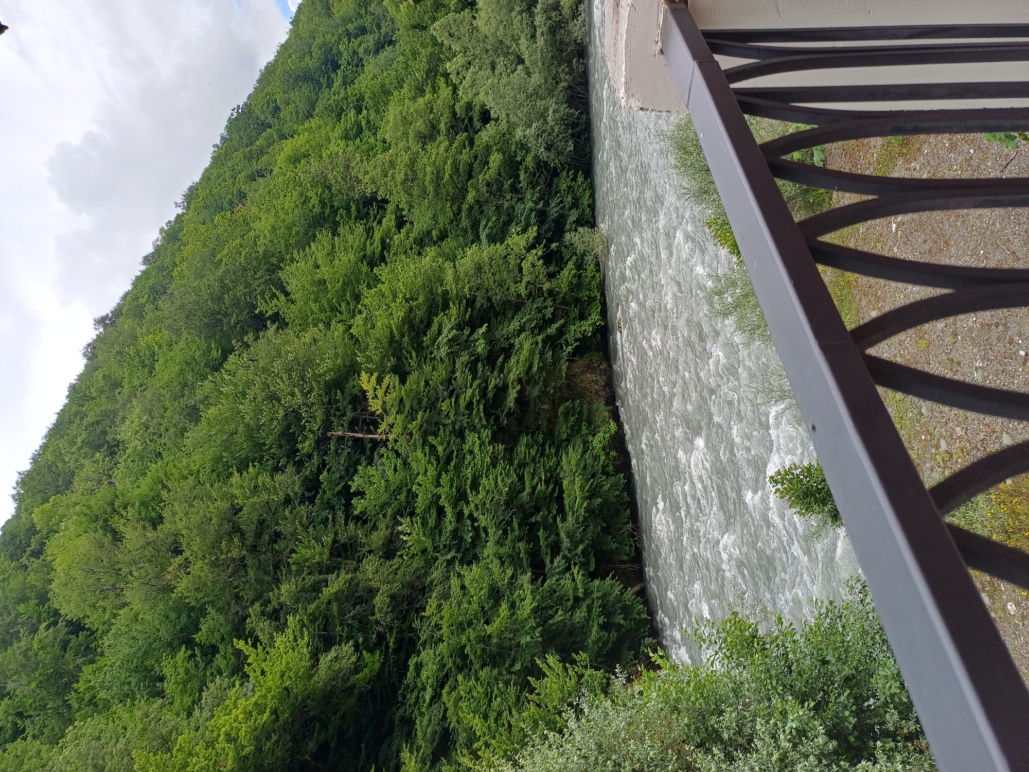 This image shows a scenic view of a densely forested mountain slope next to a fast-flowing river. The trees are lush and green, indicating a temperate climate and likely a time of year with ample foliage, such as spring or summer. The river is wide and appears turbulent, with white water suggesting a rapid current. The perspective is from an elevated viewpoint, possibly a bridge or a balcony, as indicated by the presence of a dark metal railing in the foreground. The railing is part of a structure that appears to be made of concrete and metal.
To the right of the river, the bank is covered with gravel and sparse vegetation, with a few small yellow wildflowers visible. The sky above the mountain is partly cloudy, with white clouds against a light blue background. The overall impression is one of natural beauty and ruggedness. The image captures a tranquil yet dynamic landscape, with the stillness of the forest contrasted by the movement of the river. The lighting suggests it is daytime, possibly mid-morning or afternoon, with diffused sunlight filtering through the clouds. There are no people or animals visible in the frame, emphasizing the natural setting. The location context of Estosadok, Russia, evokes a mountainous region known for its natural attractions.