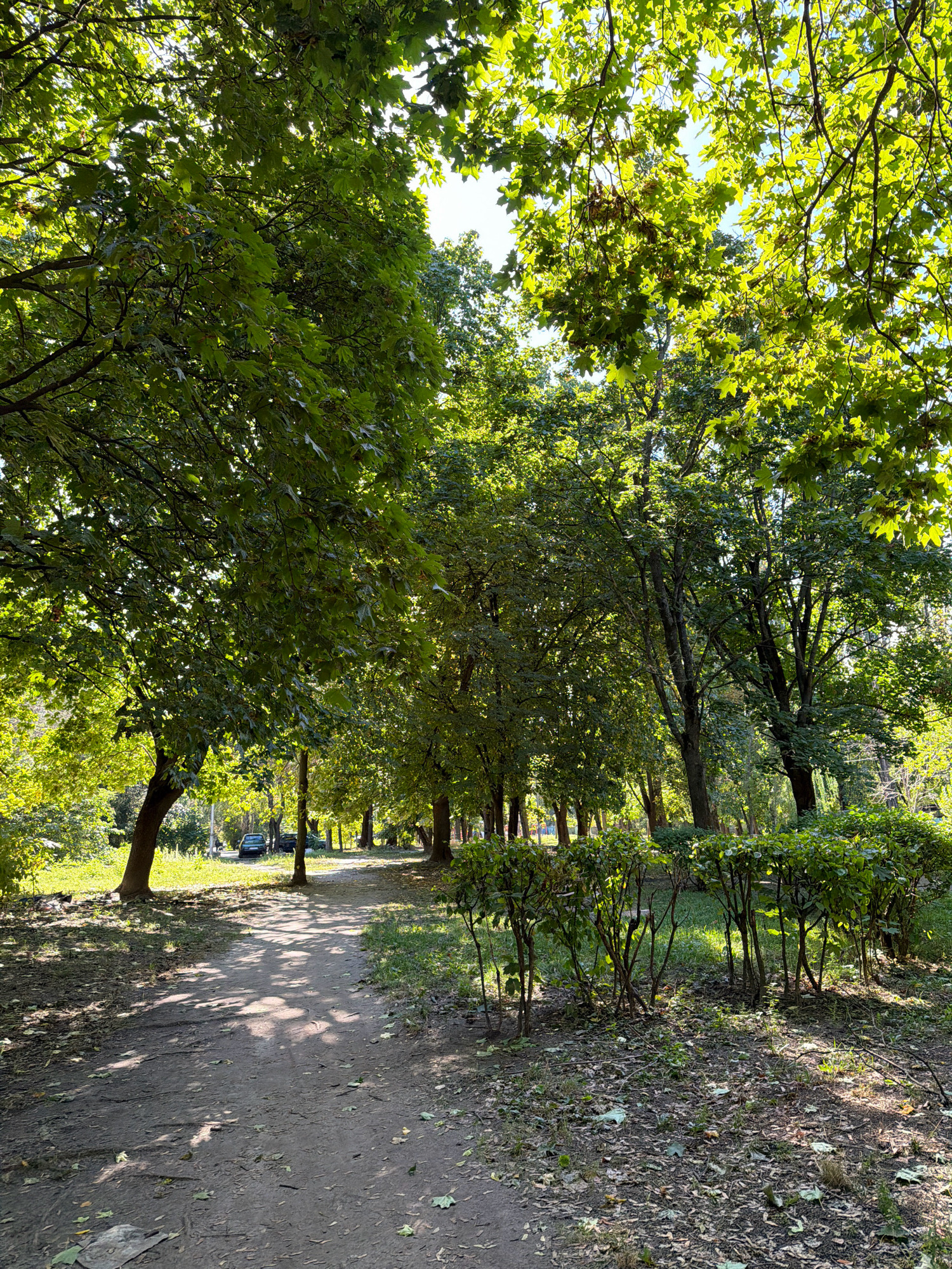 This image depicts a sun-dappled path winding through a park in Kyiv, Ukraine. The path, made of dirt and scattered with fallen leaves, is bordered by lush green trees and manicured bushes. The dense foliage of the trees creates a canopy overhead, allowing sunlight to filter through in patches, casting shadows on the ground. In the background, a few cars are visible parked along a street, suggesting the park is situated within a residential or urban area. The scene evokes a sense of tranquility and natural beauty within a city setting.