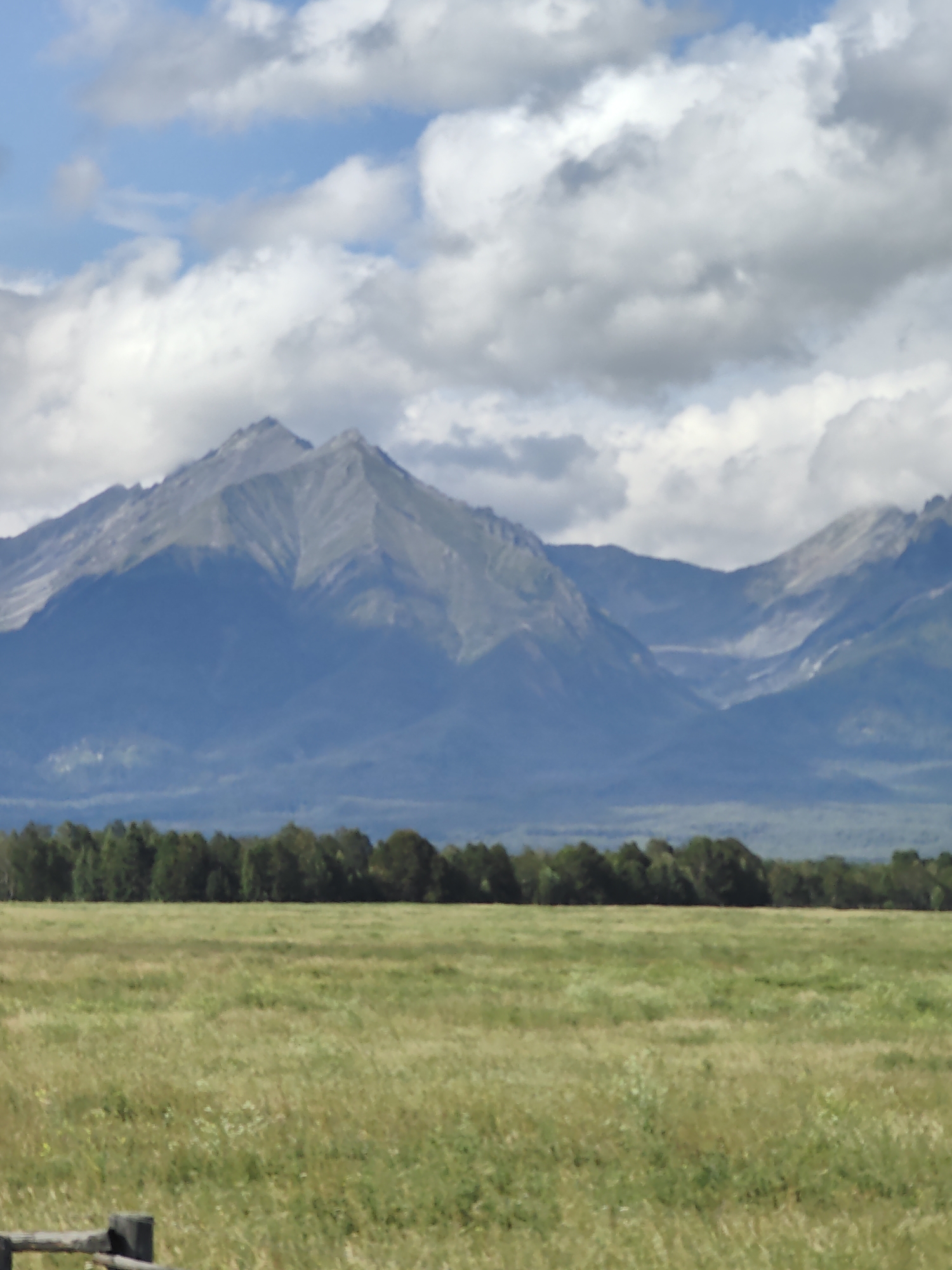 The image depicts a scenic landscape with majestic mountains dominating the background. The mountains are rugged and appear to be made of rock, with some snow or lighter colored rock visible on their peaks. They are a deep blue-gray color, suggesting they are far in the distance.
In front of the mountains, a dense line of dark green trees stretches horizontally across the middle of the frame. These trees form a sharp contrast with the lighter green of the grassy field in the foreground.
The foreground consists of a vast, open field of tall, dry grass, predominantly in shades of yellow and green. The grass appears somewhat unkempt, with some wildflowers scattered throughout. A rustic wooden fence post is partially visible in the lower left corner of the image, suggesting a boundary or enclosure within the field.
The sky above is a mix of bright blue and dramatic, puffy white and gray clouds. The lighting suggests it is daytime, likely late morning or afternoon, with the sun casting shadows on the mountains.
The overall scene conveys a sense of vastness and natural beauty, characteristic of a rural or wilderness area. No people are visible in the image. The location is identified as Galbai, Russia.