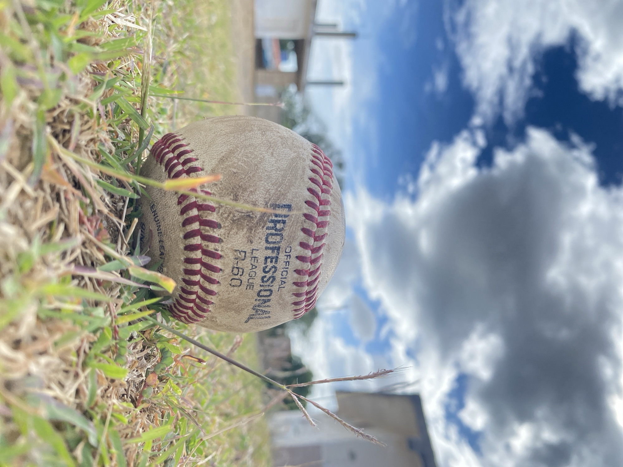 The image depicts an old baseball lying in a patch of grass. The baseball is labeled "Official League, Professional, R-60." The grass is a mixture of green and brown. The background shows a building and a cloudy sky. The location is Juan Griego, Venezuela. No people are visible.
