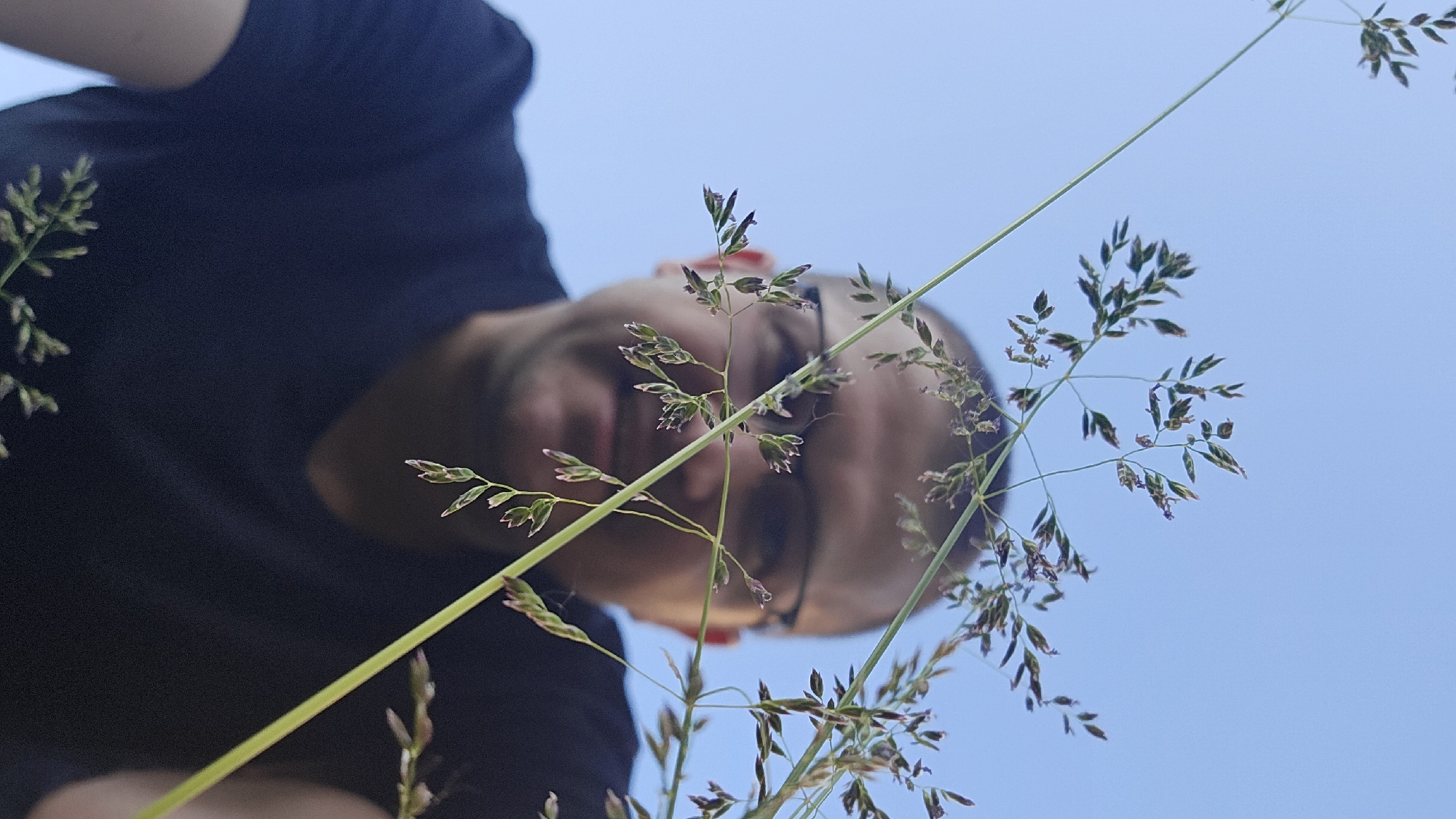 The image captures a low-angle, close-up view of a person wearing glasses and a dark t-shirt, partially obscured by blades of grass. The person's face is out of focus, with their eyes visible behind the glasses. The background is a clear, bright blue sky, suggesting an outdoor setting. There are no discernible landmarks or details that would indicate a specific location within the city of Kyiv, Ukraine. The lighting appears to be natural daylight.