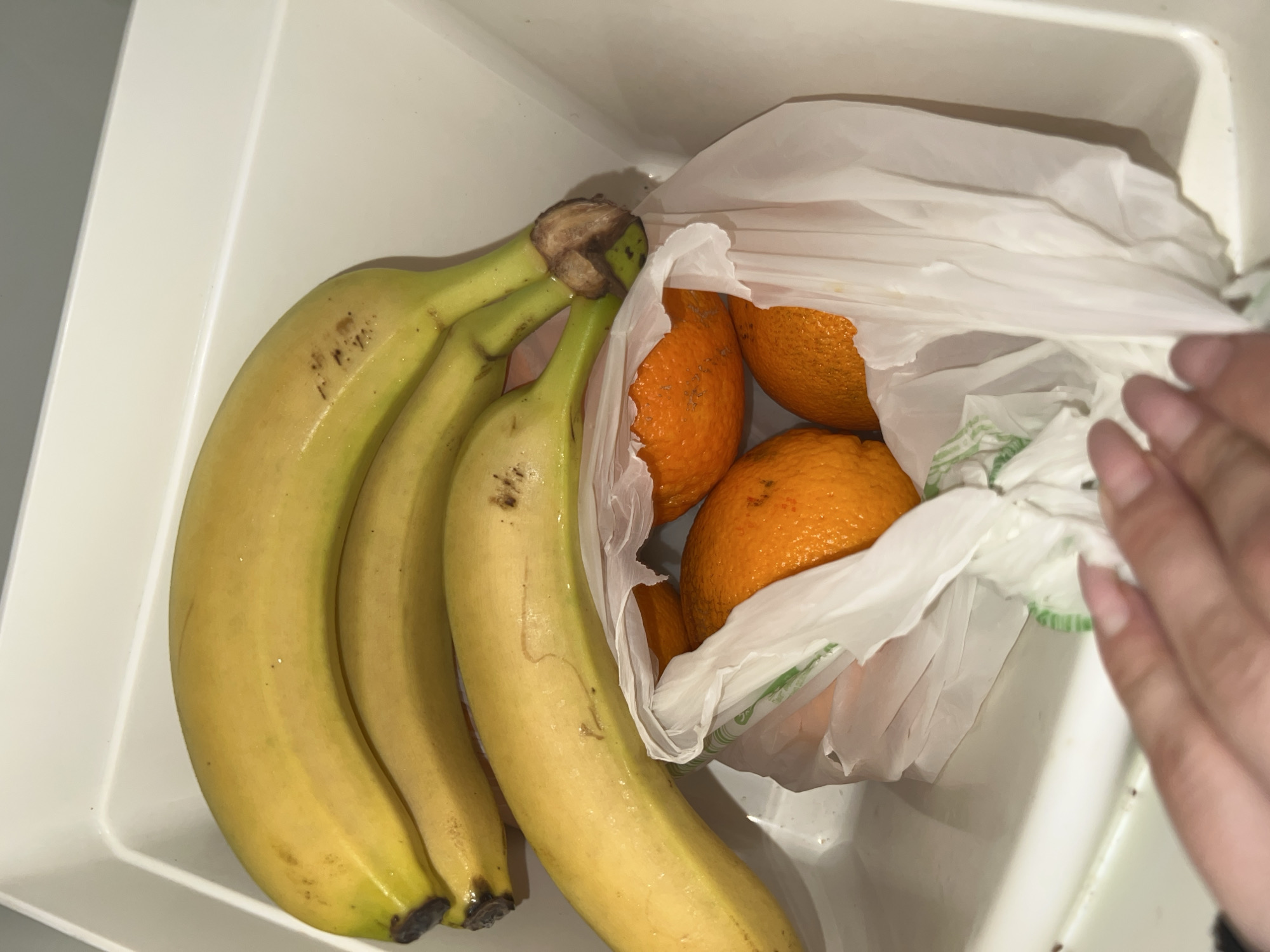 A plastic grocery bag containing several oranges sits on a white surface, partially obscuring a bunch of three bananas. The oranges are a vibrant orange color and have textured skin. The bananas are yellow with some brown spots, indicating ripeness. A person's hand, with painted fingernails, is visible reaching into the bag, seemingly to adjust the fruit. The setting appears to be inside a refrigerator or a similar cool storage environment, suggested by the white, plastic-lined interior and the overall lighting. The image is taken from a slightly overhead perspective, focusing on the fruit and the hand.
