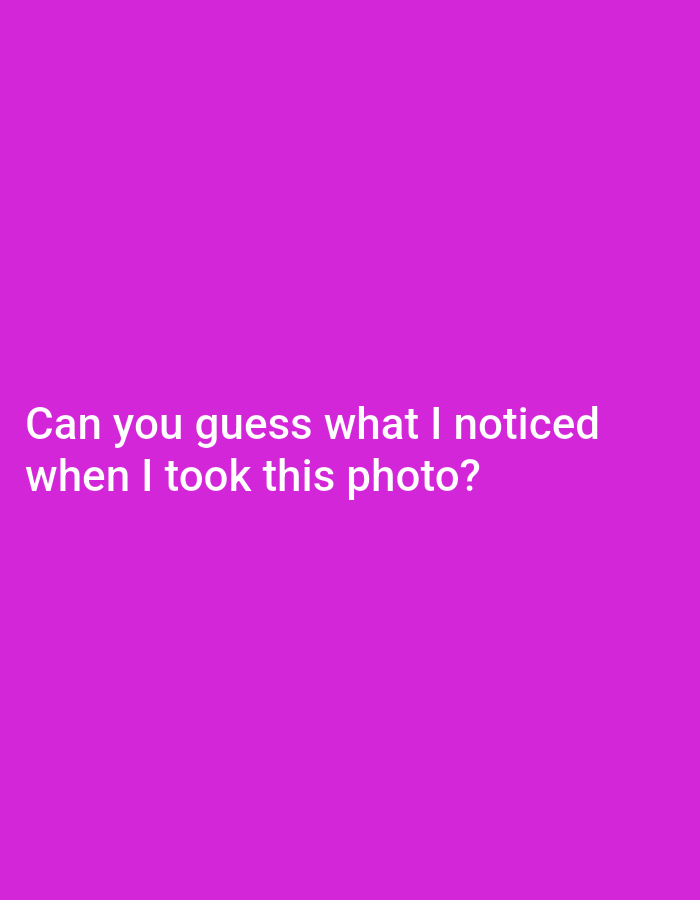 The image contains white text on a solid purple background. The text reads "Can you guess what I noticed when I took this photo?". There are no other discernible objects, people, or environmental details in the image. Therefore, it is impossible to provide any information about the city of Pagerungan Kecil, Indonesia, or any forensic details of a scene.