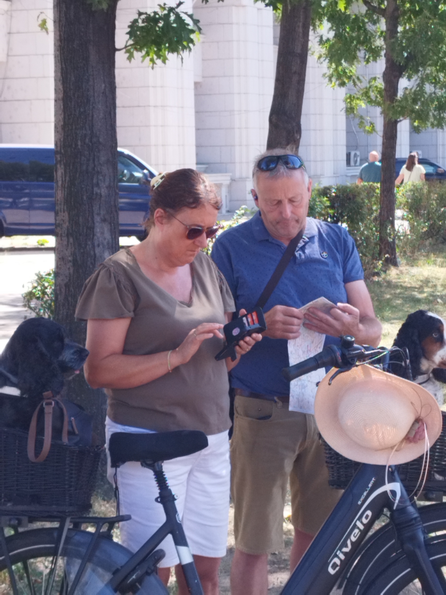 Two adults, a man and a woman, are standing next to a bicycle. The man, on the right, is wearing a blue polo shirt and khaki shorts. He has sunglasses on his head and is holding a map and what appears to be a small electronic device. The woman, on the left, is wearing a brown t-shirt and white shorts. She has her hair pulled back and is looking down, with her hand extended towards the man's device. There are two dogs visible, one black dog in a basket on the left side of the bicycle and a black and white dog on the right side, also in a basket. The bicycle has a straw hat on the handlebars and a black basket. The scene appears to be outdoors, with trees and a building with white columns in the background. The presence of specific building architectural styles, common street furniture, and potentially license plates on vehicles could suggest a location within Bucharest, Romania.