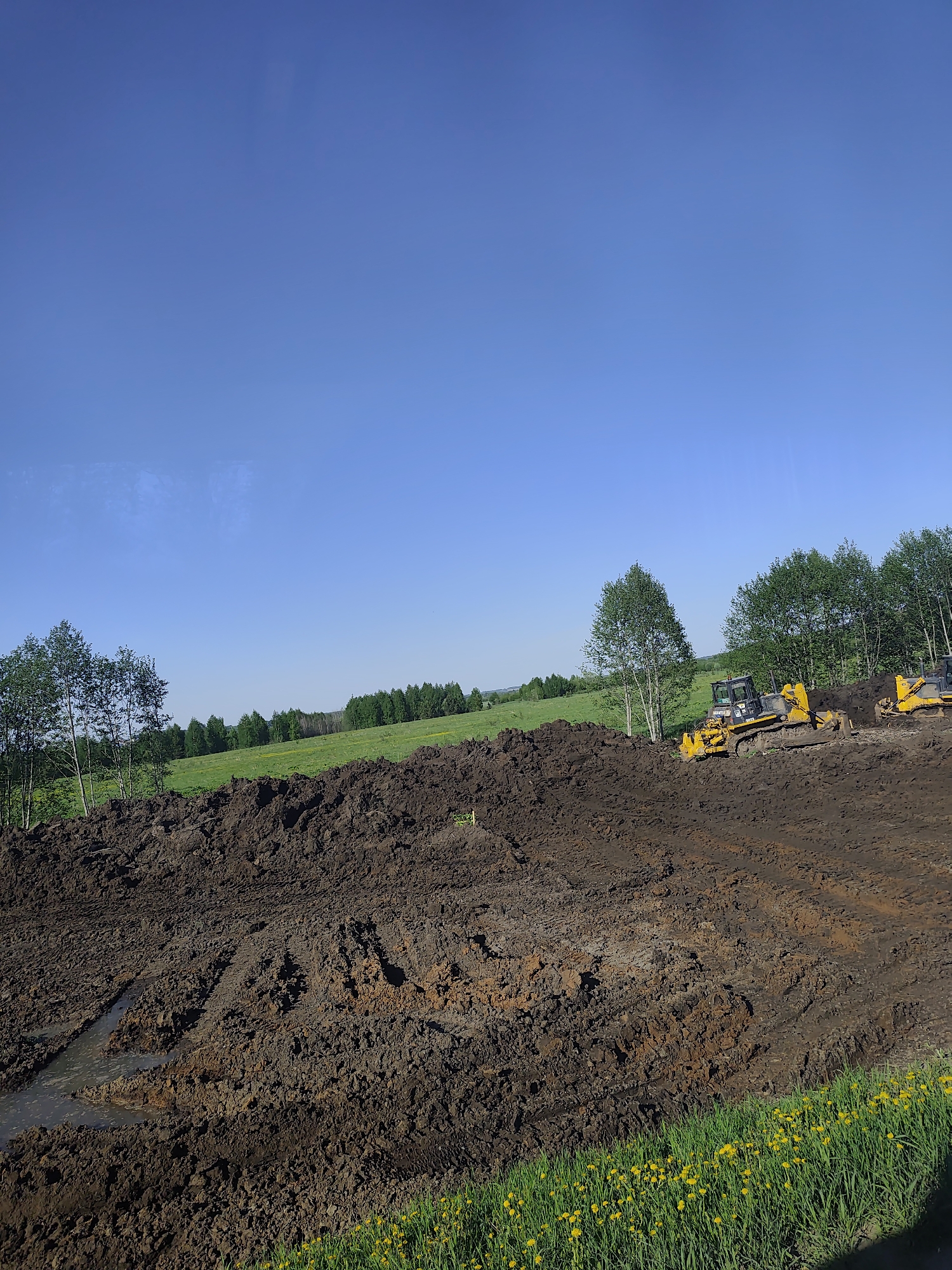 The image depicts a construction site in a field near Berezka, Russia, under a clear blue sky. Two yellow bulldozers are positioned in the middle ground, on top of a large pile of dark brown soil. The soil is wet and muddy, with a small pool of water visible in the foreground. Beyond the soil pile, there is a green field bordered by trees. In the foreground, there is green grass with yellow dandelions. There is no indication of people present.