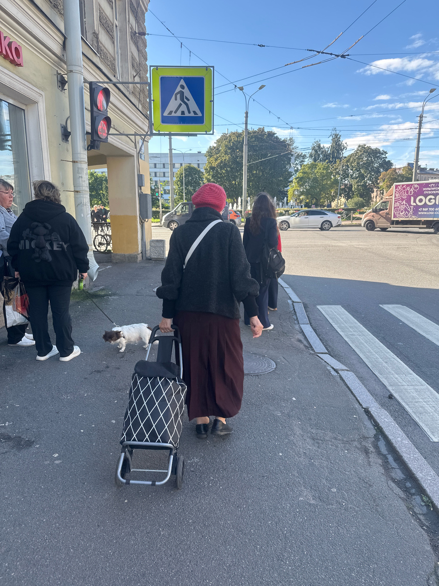 In Saint Petersburg, Russia, at an outdoor pedestrian crossing, a group of people are standing on a sidewalk. A woman wearing a red hat and a dark jacket walks away from the camera, pulling a rolling shopping cart. Beside her, a woman in a black hoodie with "MICKEY" printed on it, is walking a small dog on a leash. Another woman is walking next to her. In the background, vehicles and trees are visible, and a purple truck with "LOGI" on its side is parked. A pedestrian crossing sign and traffic lights are also present in the scene.