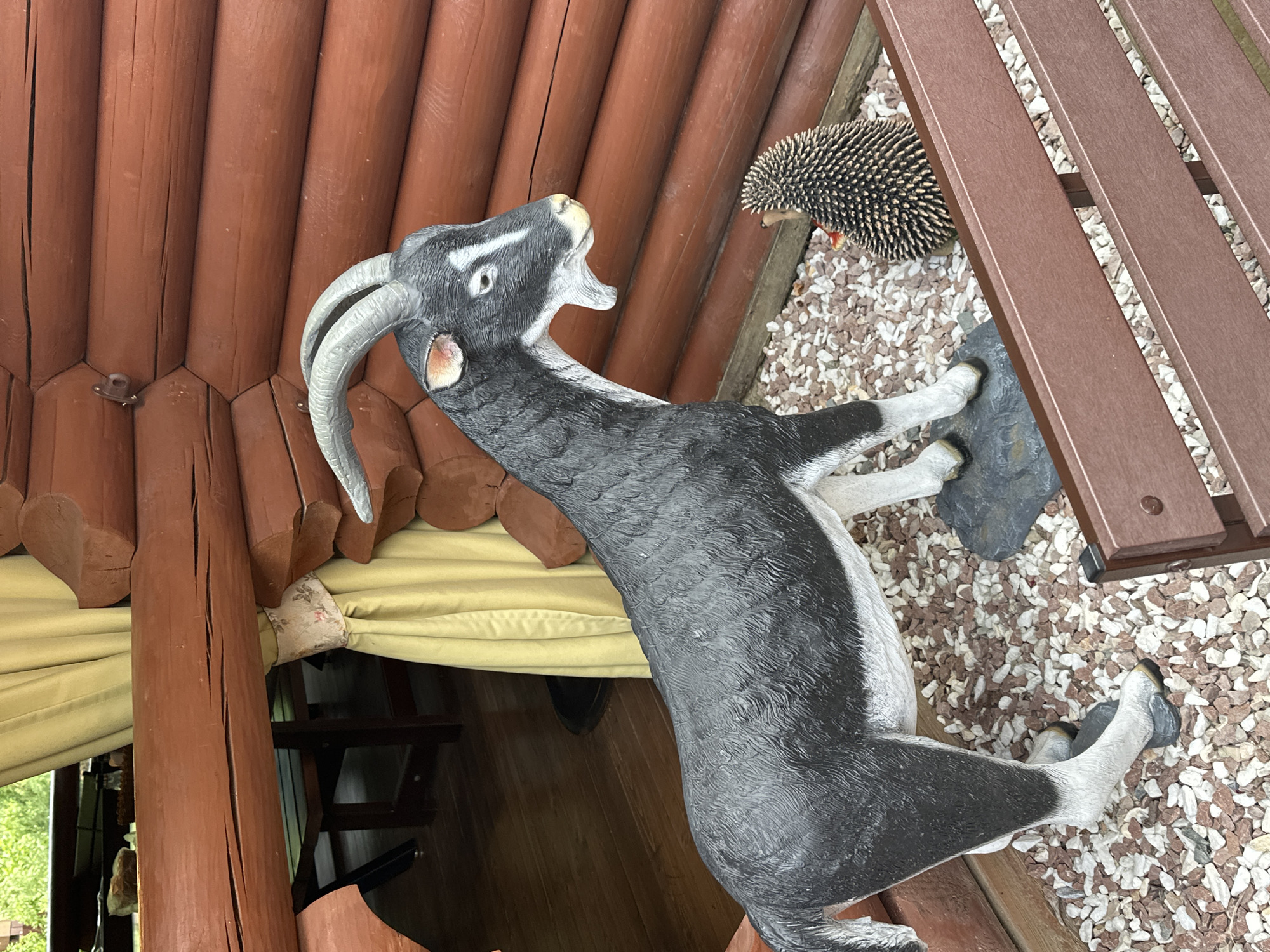 A statue of a black and white goat is positioned in front of a log cabin. To the goat's right, a small hedgehog statue is visible. The ground around the statues is covered with small, colorful pebbles. A portion of a brown wooden bench is in the foreground. In the background, a yellow curtain hangs in an open doorway.