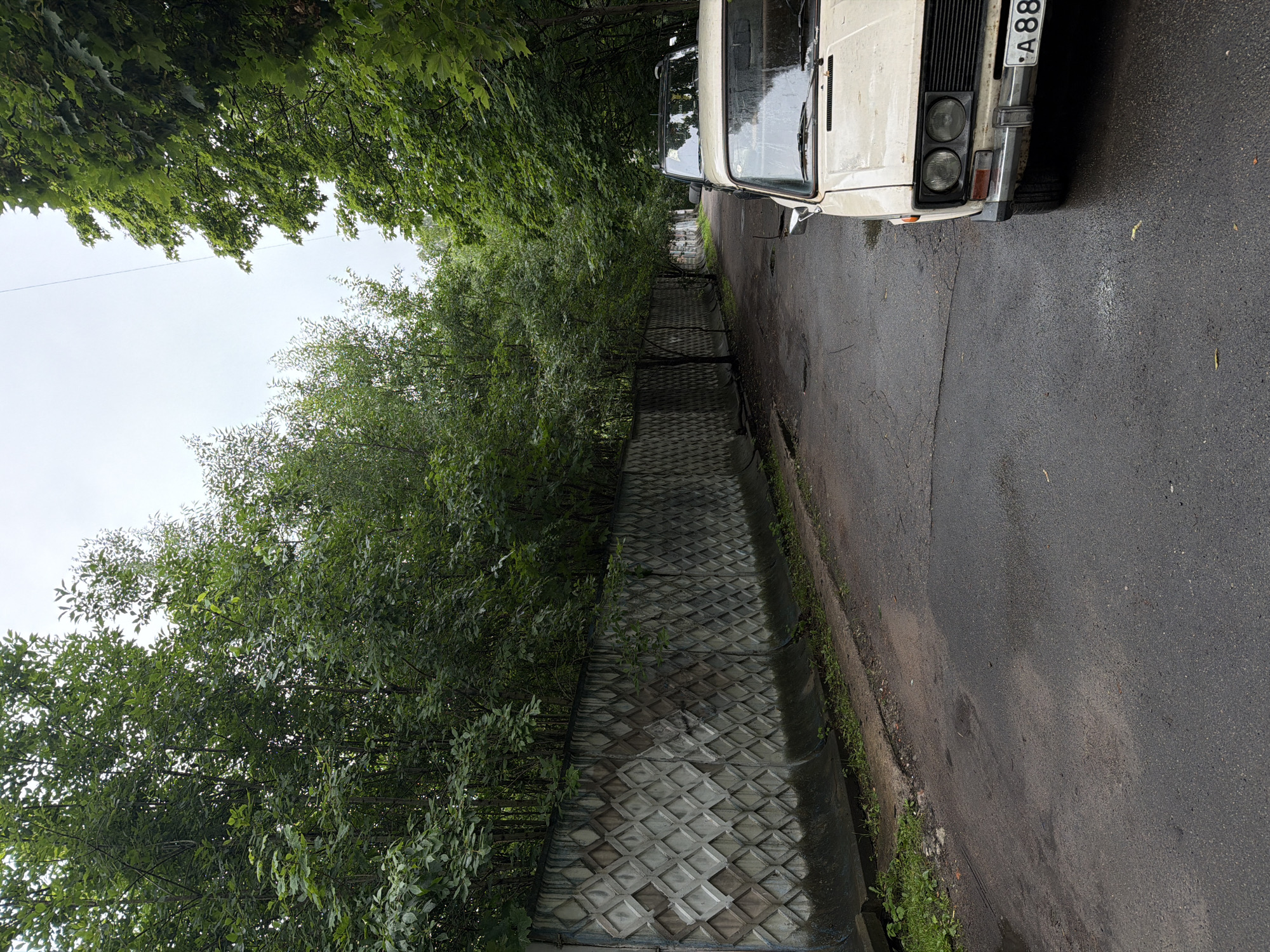 A street in Saint Petersburg, Russia, is depicted on a cloudy day. A weathered concrete fence, adorned with a diamond pattern, runs along the left side of the street, separating it from a dense line of trees. The road surface is asphalt and appears wet, with visible puddles and cracks, suggesting recent rainfall. On the right side of the street, two cars are parked. The closest car is a light-colored sedan, seen from the front, with its license plate visible as "A 88". Behind it, a darker SUV is partially visible. The trees on both sides of the street create a canopy overhead, with their leaves forming a lush green backdrop against the overcast sky.