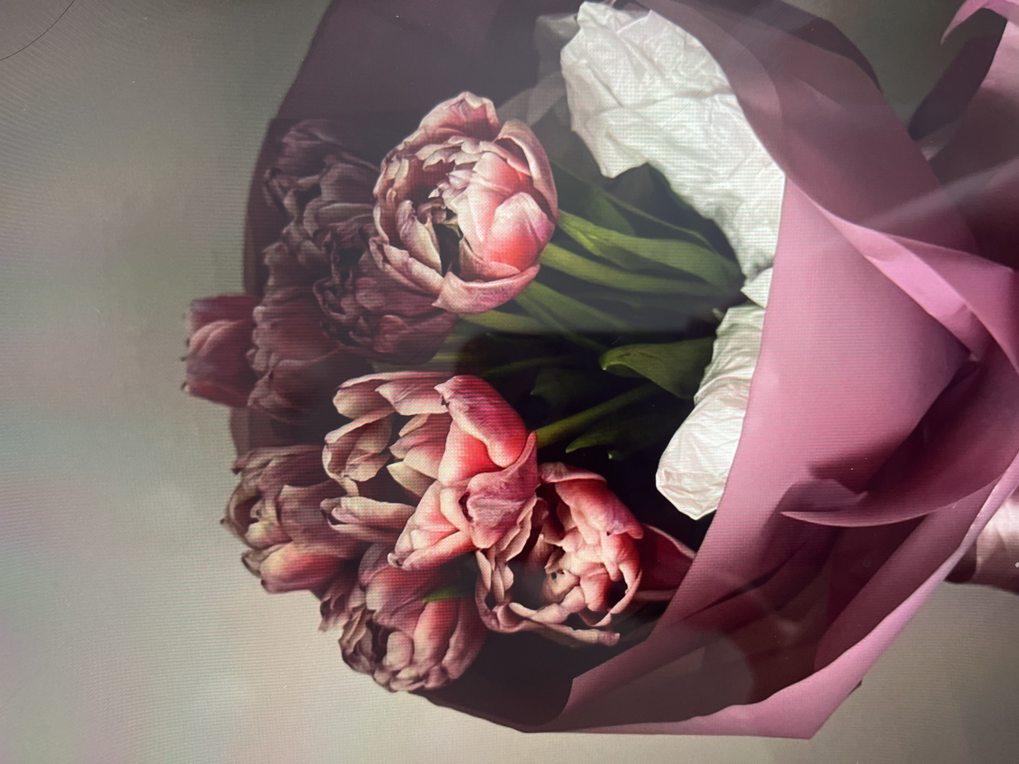 A bouquet of pink and purple tulips wrapped in white tissue paper and light pink wrapping paper. The background is a pale gray surface. The location is unknown.