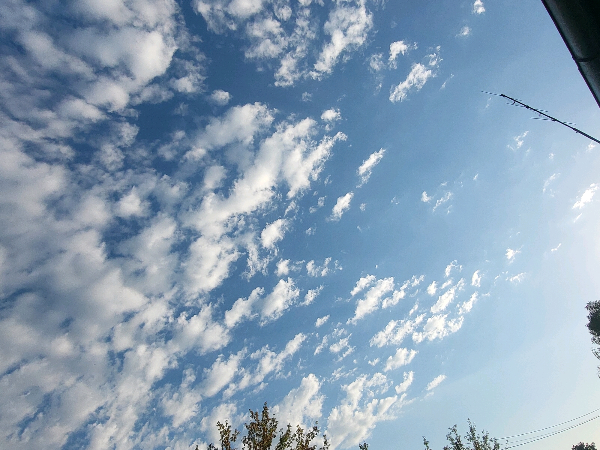 A low-angle, wide-shot captures a dynamic sky filled with scattered white cumulus clouds against a bright blue sky. The clouds are distributed unevenly, with denser formations on the left and sparser, more fragmented clouds towards the right. In the upper right portion of the frame, a dark, angular object, possibly a roofline or structure, partially obstructs the sky. A thin, dark pole with several horizontal crossbars extends diagonally from the upper right corner into the sky, its purpose unclear. Along the bottom edge of the image, the tops of trees with sparse foliage are visible, with branches extending upwards. The overall scene suggests an outdoor environment, likely in Jelgava, Latvia, with a clear and active sky. No people or specific actions are depicted.