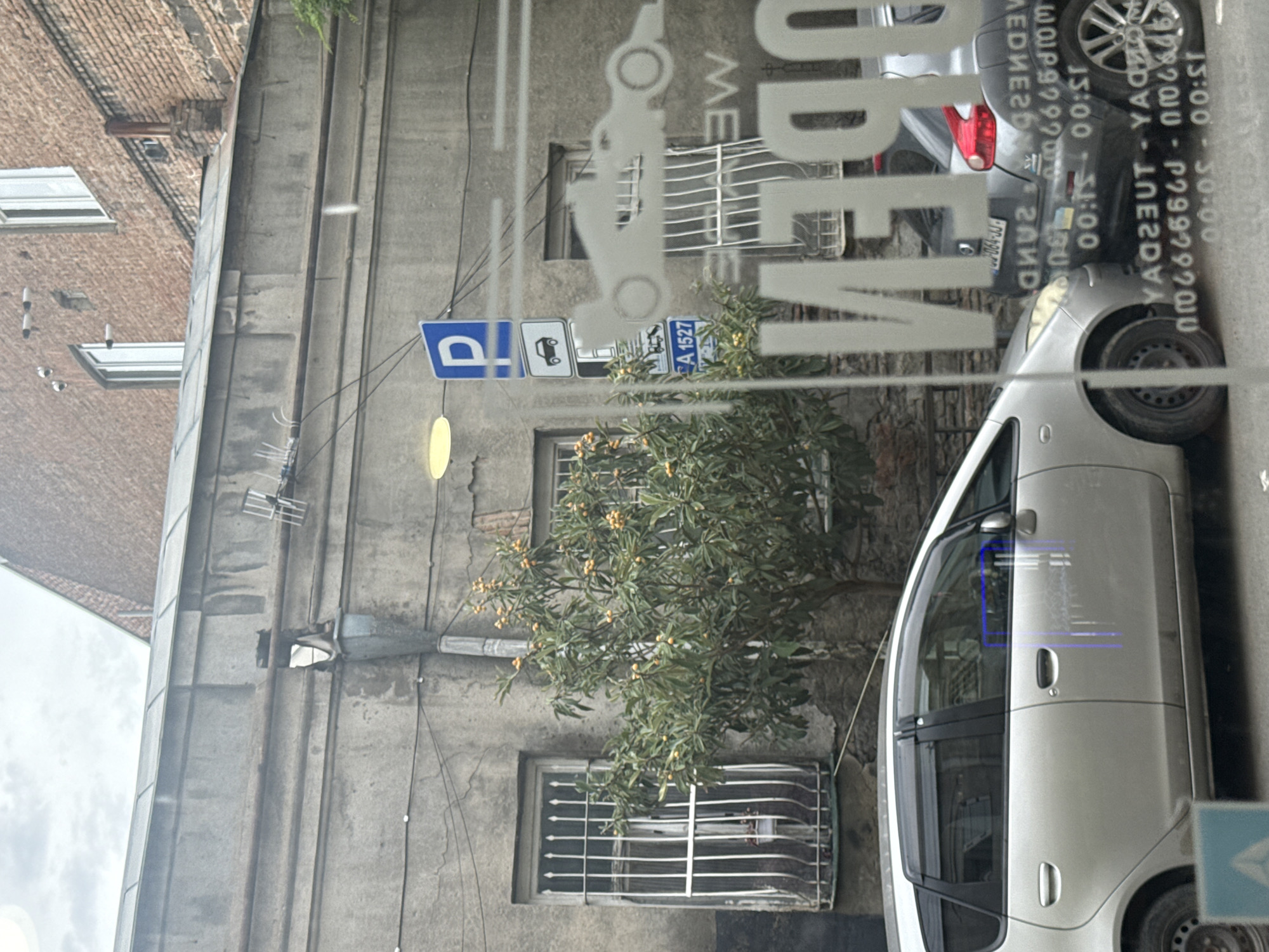 A silver car is parked on a street in front of a building with a concrete facade and brick upper story. A tree with yellow fruit is growing in front of the building. A "P" parking sign is visible on the building. A large white sign with the word "OPEN" is reflected on the car's window. The scene appears to be a street in a city.