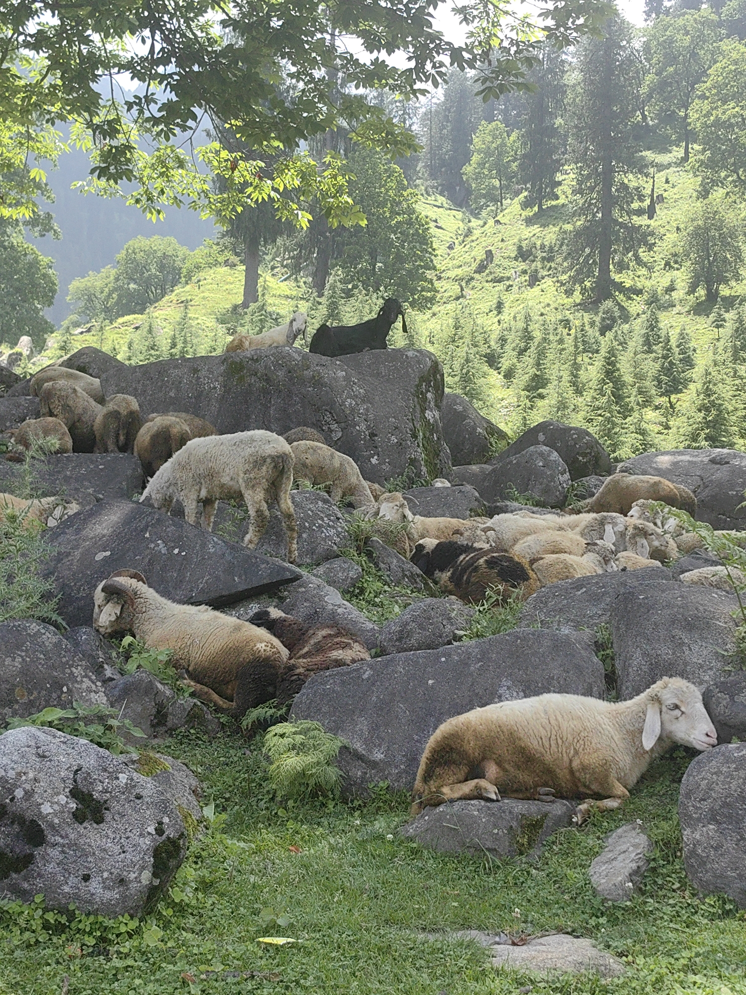 Memory