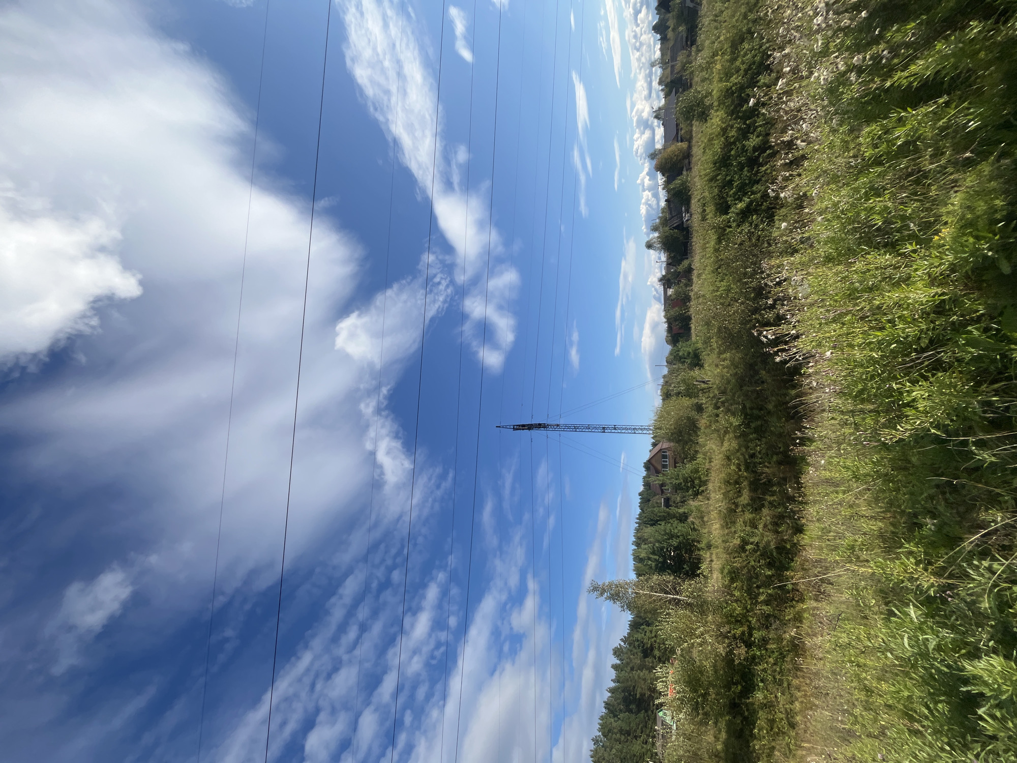 The image depicts a wide, low-angle view of a rural landscape under a bright blue sky with wispy white clouds. In the foreground, tall green grass and wildflowers dominate the frame, some of which appear to have gone to seed with fluffy white tops. A few trees, mostly deciduous with light green and yellowing leaves, are scattered throughout this area.
Behind the foreground vegetation, a dense line of green trees, primarily evergreens, forms a treeline. Interspersed within the trees are several houses, suggesting a small settlement or village. The architecture of the visible houses appears to be varied, with some featuring red roofs and wooden siding.
A prominent feature in the middle ground, to the right of the frame, is a tall, lattice-style metal tower, likely a telecommunications or power transmission tower. Several parallel wires, presumably part of an overhead power line or communication system, stretch across the upper portion of the image, running horizontally.
The lighting suggests a sunny day, with shadows cast by the foliage. The overall impression is one of a tranquil, rural setting on a clear day. The location is identified as Nizhny Tagil, Russia.