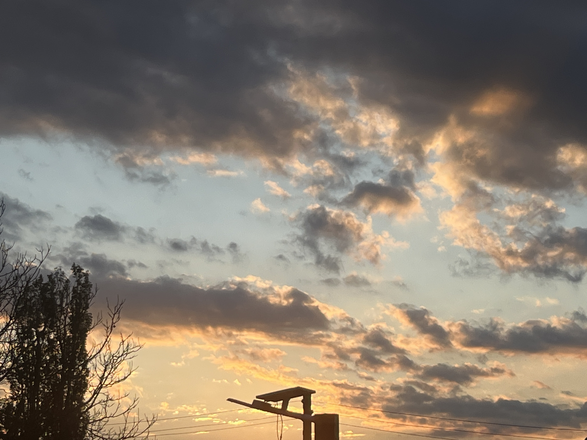 The image depicts a sky in Pchelnik, Bulgaria, at either sunrise or sunset. The upper portion of the sky is filled with dark gray clouds, while the lower portion has clouds illuminated with orange and yellow hues. A silhouette of a tree is visible on the left side of the frame. In the lower center of the image, there is a street light. Power lines stretch across the lower part of the scene.