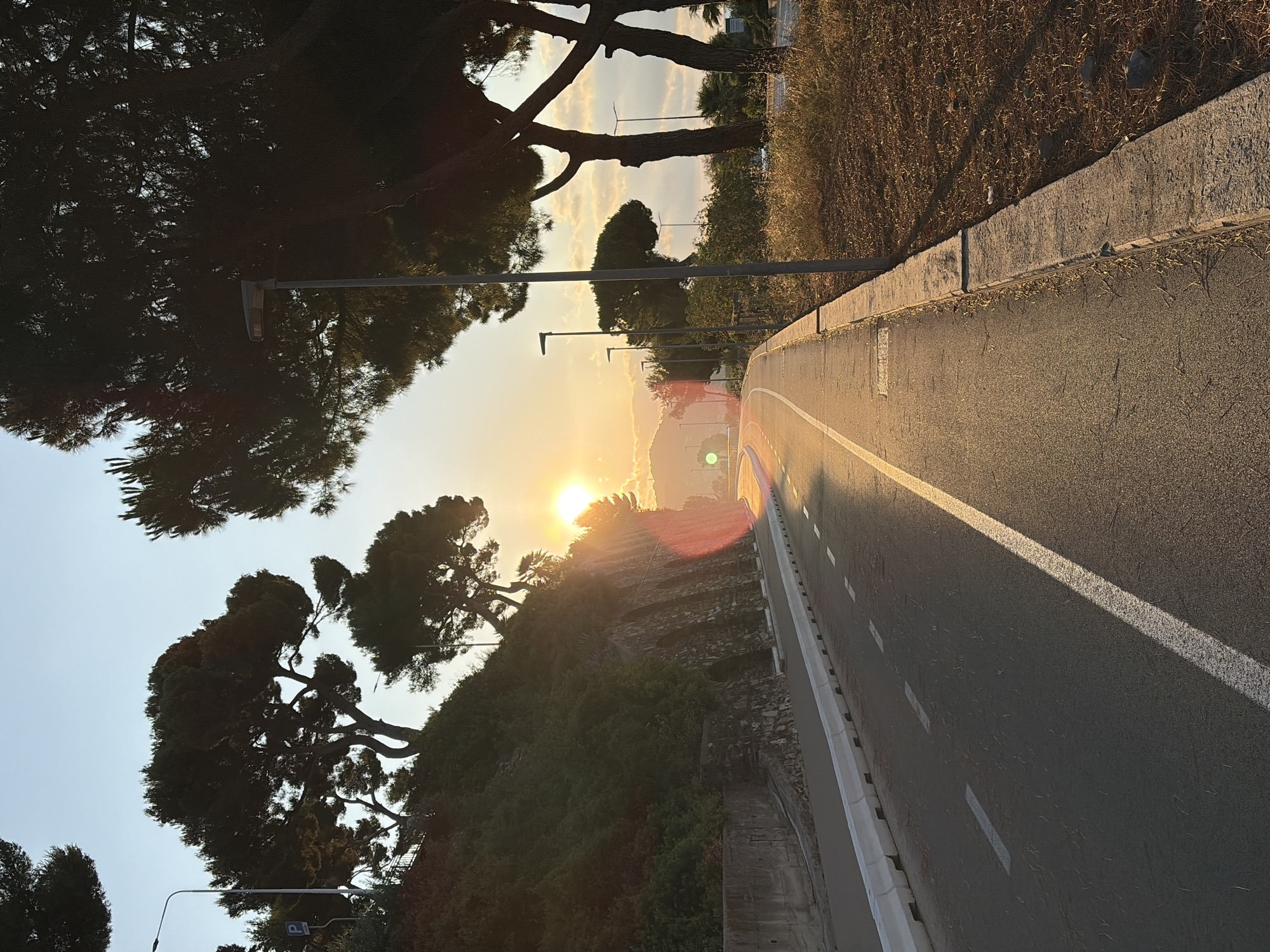 The image depicts a coastal road in Imperia, Italy, at sunset. The road is paved with asphalt and marked with white dashed lines indicating lanes and a solid white line separating the bike path from the main road. The road curves to the right, leading uphill. To the left of the road, there is a steep, vegetated embankment with a stone retaining wall. Several pine trees with dense canopies are visible on the embankment and to the right of the road. A streetlamp stands on the right side of the road. The sun is setting on the horizon, casting a warm, golden light across the scene and creating lens flare. The sky is clear with a few scattered clouds. The overall impression is one of natural beauty and tranquility, with the road serving as a man-made element within the picturesque landscape.