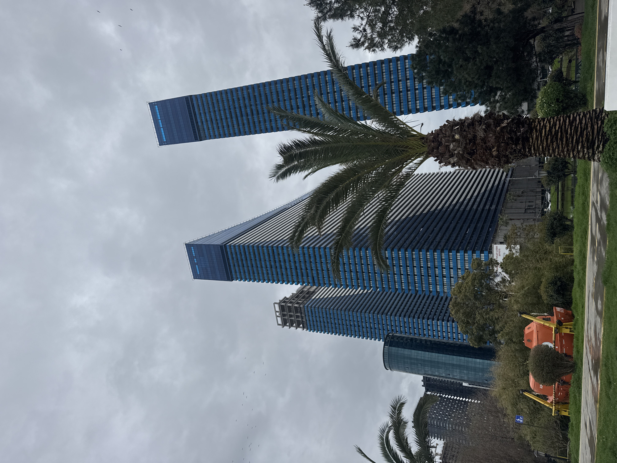 The image shows a view of several tall, modern buildings in an urban environment, likely a city. The buildings are characterized by their sleek design, with numerous windows and a blue color scheme. One of the buildings appears to be still under construction, as its frame is visible. The buildings tower over the surrounding landscape, including lush greenery, trees, and palm trees. In the foreground, there is a palm tree with a thick trunk. In addition to the natural elements, there are man-made objects, such as orange lifeguard boat stations and grassy walking paths, indicating that the area is a park or recreational space. The sky is overcast. There appear to be some birds in the sky. The location is the city of Batumi, Georgia.