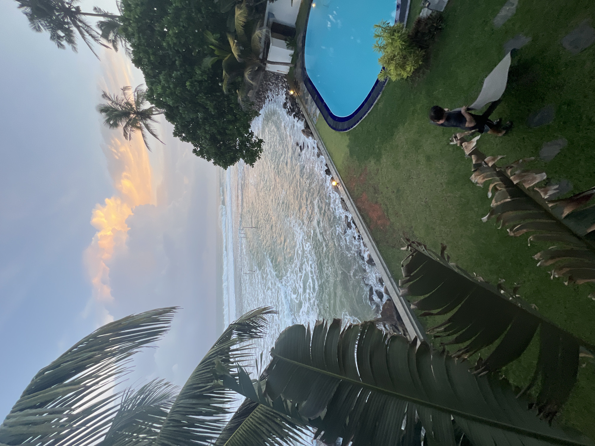 The image depicts a coastal scene in Goviyapana, Sri Lanka, likely at dusk or dawn. In the foreground, large palm fronds frame the view. A person is walking across a green lawn, carrying a light-colored mat. To the right, a bright blue swimming pool with dark blue trim is visible, adjacent to a building. Beyond the pool and lawn, the ocean meets a rocky shore. Waves are breaking on the shore, and thin vertical poles are scattered in the water. The sky is overcast with soft pink and orange hues from the setting or rising sun. The overall atmosphere is tranquil, with natural elements of the beach and tropical vegetation dominating the scene.