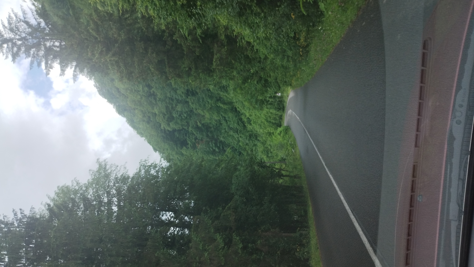 The image is a view from inside a vehicle driving on a paved road bordered by dense green trees and foliage. The road has a white line marking the edge. The sky is overcast with patches of blue sky visible. The trees are lush and green, suggesting a temperate climate. The overall impression is of a rural or natural setting. The image appears to have been taken during the daytime, likely late morning or afternoon, given the natural light. The weather seems to be mixed, with clouds but also some brightness. There are no people visible in the image. The interior of the vehicle is partially visible on the right side, showing a dashboard or trim. No text is clearly legible in the image. The scene conveys a sense of travel through a green, possibly forested area.