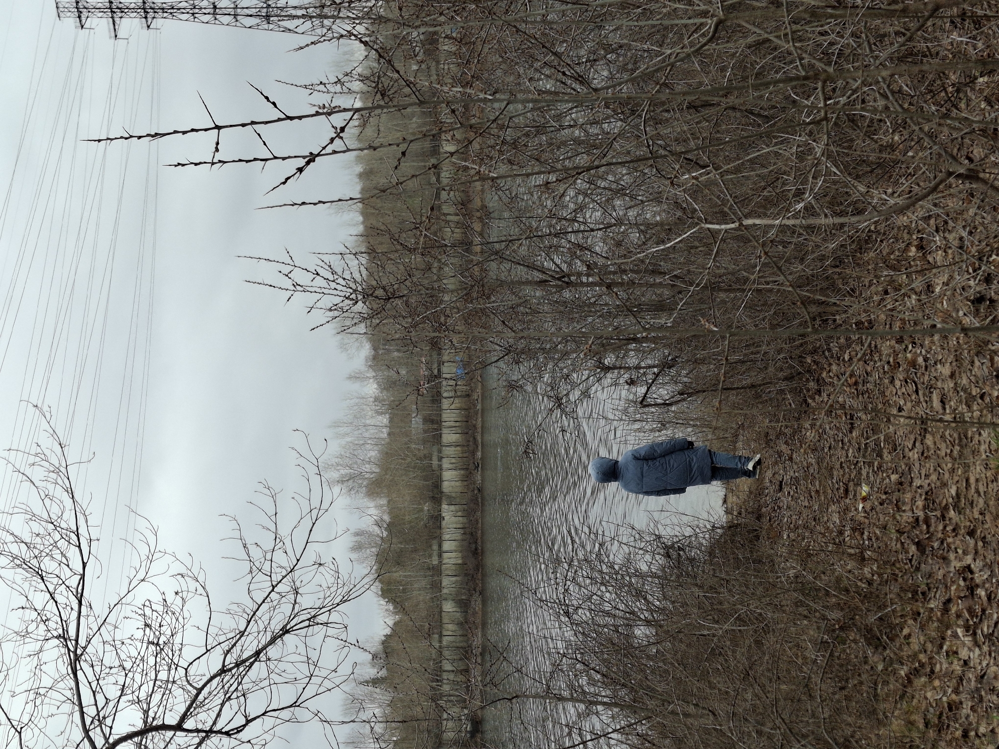 An outdoor scene captured in Chaikovsky, Russia, depicts a solitary figure by a body of water under an overcast sky. The image is dominated by the muted tones of late autumn, winter, or early spring.
On the right side of the frame, a person is seen from behind, dressed in a blue, hooded, puffy jacket and dark pants. They stand near the edge of a body of water, their gaze directed across it. The ground beneath them is covered with a thick layer of dry, brown leaves and bare, thorny branches.
A wide expanse of water, possibly a river or canal, occupies the middle ground, displaying subtle ripples on its surface. On the opposite bank, a long, low concrete embankment provides a stark, linear contrast to the natural elements, beyond which a distant treeline of bare, leafless trees is visible.
The left side of the image features a tall metal power pylon with numerous power lines extending horizontally across the pale, overcast sky. Throughout the foreground and midground, intricate networks of bare branches, some noticeably thorny, frame the view, adding to the somber and dormant character of the landscape. The overall mood is quiet and contemplative, emphasized by the cool, grey light. No text is visible in the image.