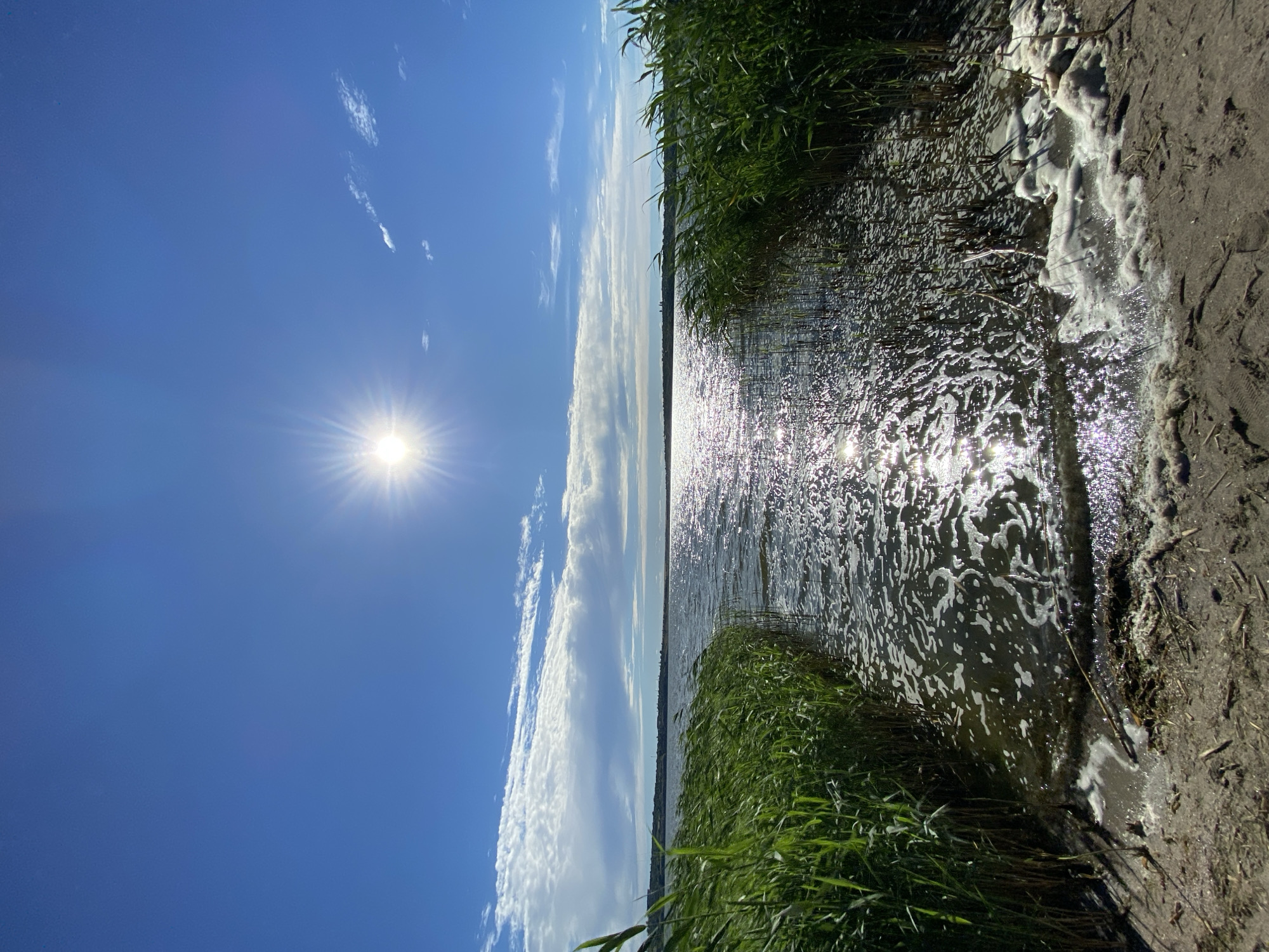 A wide, low-angle, eye-level shot captures a sun-drenched natural landscape at the edge of a body of water. The scene is dominated by a bright, intense sun with visible rays positioned high in the center of a clear blue sky. Wispy white clouds stretch horizontally across the upper portion of the frame, contrasting with the vibrant blue.
The water occupies the middle and lower sections of the image, reflecting the sunlight with a dazzling shimmer. The surface of the water is choppy, creating a textured appearance. Along the left and right edges of the water, dense green reeds grow tall, their blades creating a natural frame for the waterway. The reeds on the right side are more prominent and appear to be bending slightly into the water.
The foreground consists of a sandy or muddy shore, littered with small twigs and debris. There is some frothy white foam along the water's edge in the lower right corner, suggesting movement or disturbance in the water. The overall impression is one of a bright, sunny day at a lake or river, with abundant natural vegetation. The location is described as Unknown, Unknown within a city.