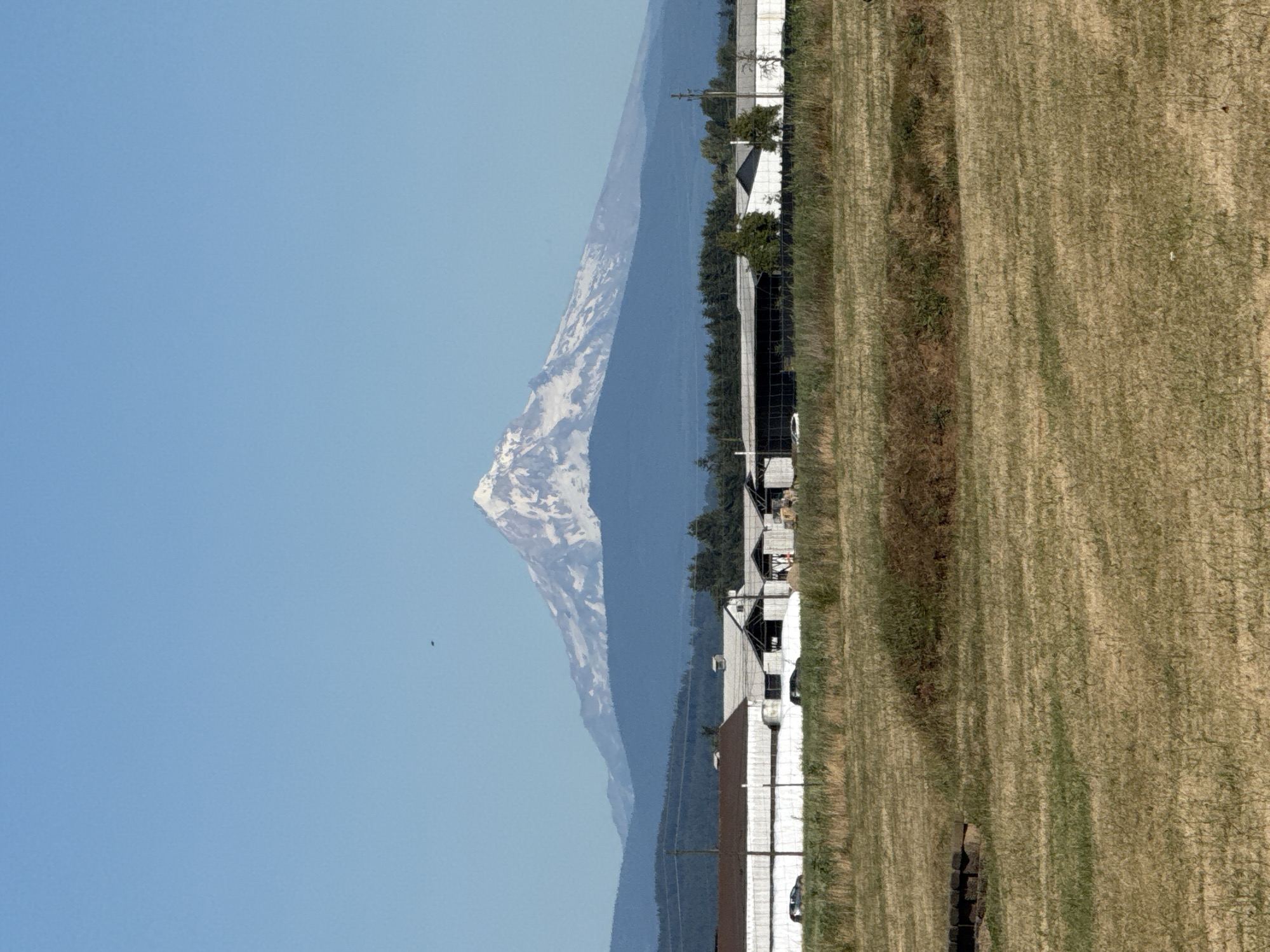 The image shows a panoramic view of a rural landscape with Mount Hood in the background, a snow-capped stratovolcano in the Cascade Range of Oregon. The mountain is visible from Vancouver, United States of America, on a clear day. In the foreground, there are several farm buildings, likely agricultural structures, with white siding and dark roofs. The area in front of the buildings appears to be a field with dry grass and some scattered vegetation. Several cars are parked near the buildings, suggesting activity or habitation. A dirt road or path is visible leading towards the structures. The sky is clear and blue, indicating fair weather. The overall scene depicts a working farm situated in a scenic environment with a prominent natural landmark.