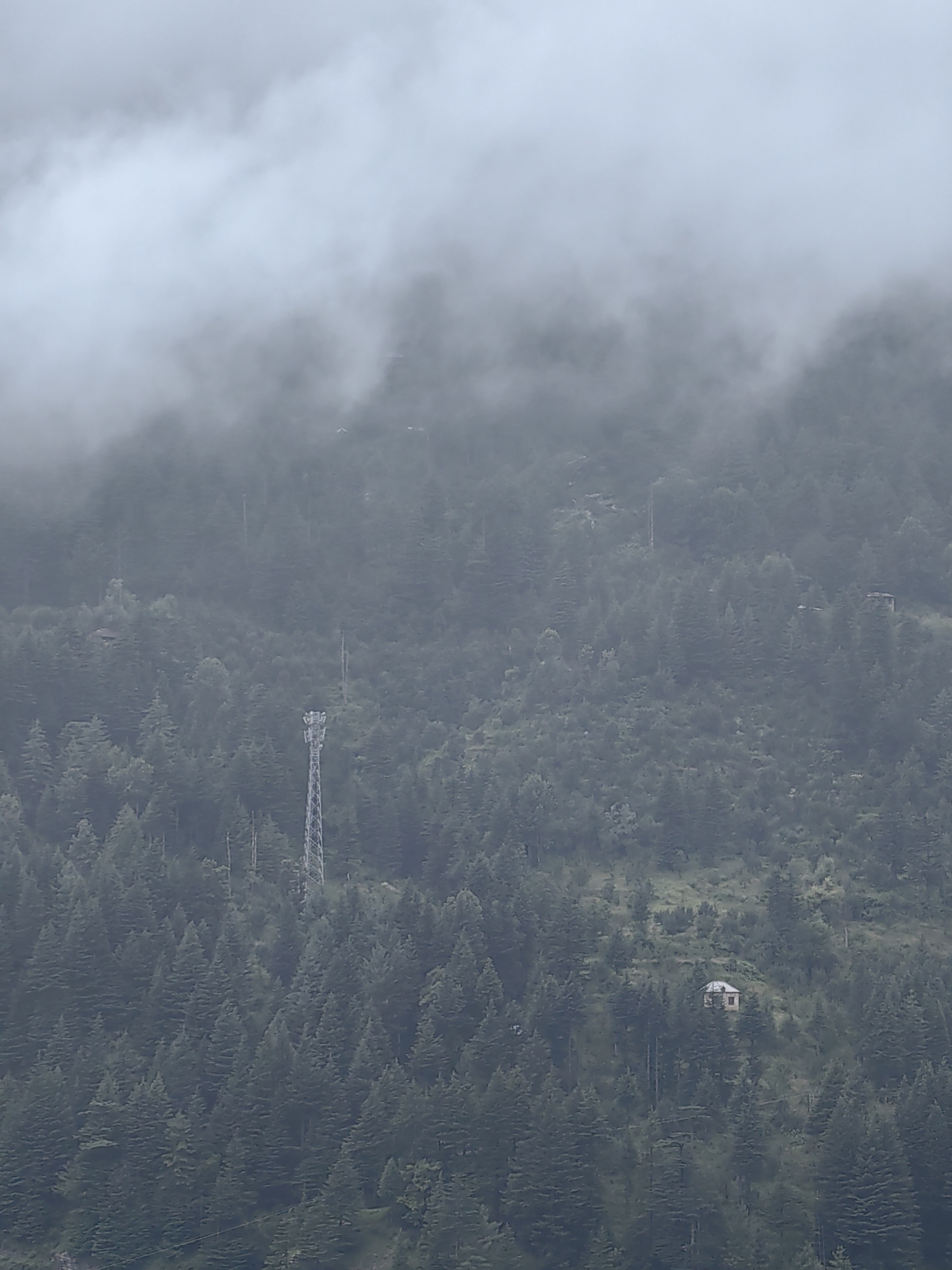 An aerial, vertical, full shot shows a dense forest on a mountain slope. The sky is overcast with thick clouds obscuring the upper portion of the image. A tall, metallic communication tower stands prominently in the mid-left section of the frame. Scattered throughout the trees, small, isolated structures, likely houses, are visible, one notable example being a small, stone building with a light-colored roof situated on a cleared patch of the slope to the right of the tower. The foliage is a dark, uniform green, indicative of pine or similar coniferous trees. The overall impression is one of a remote, mountainous landscape in Vashisht, India, characterized by thick forests and a heavy, cloudy atmosphere.