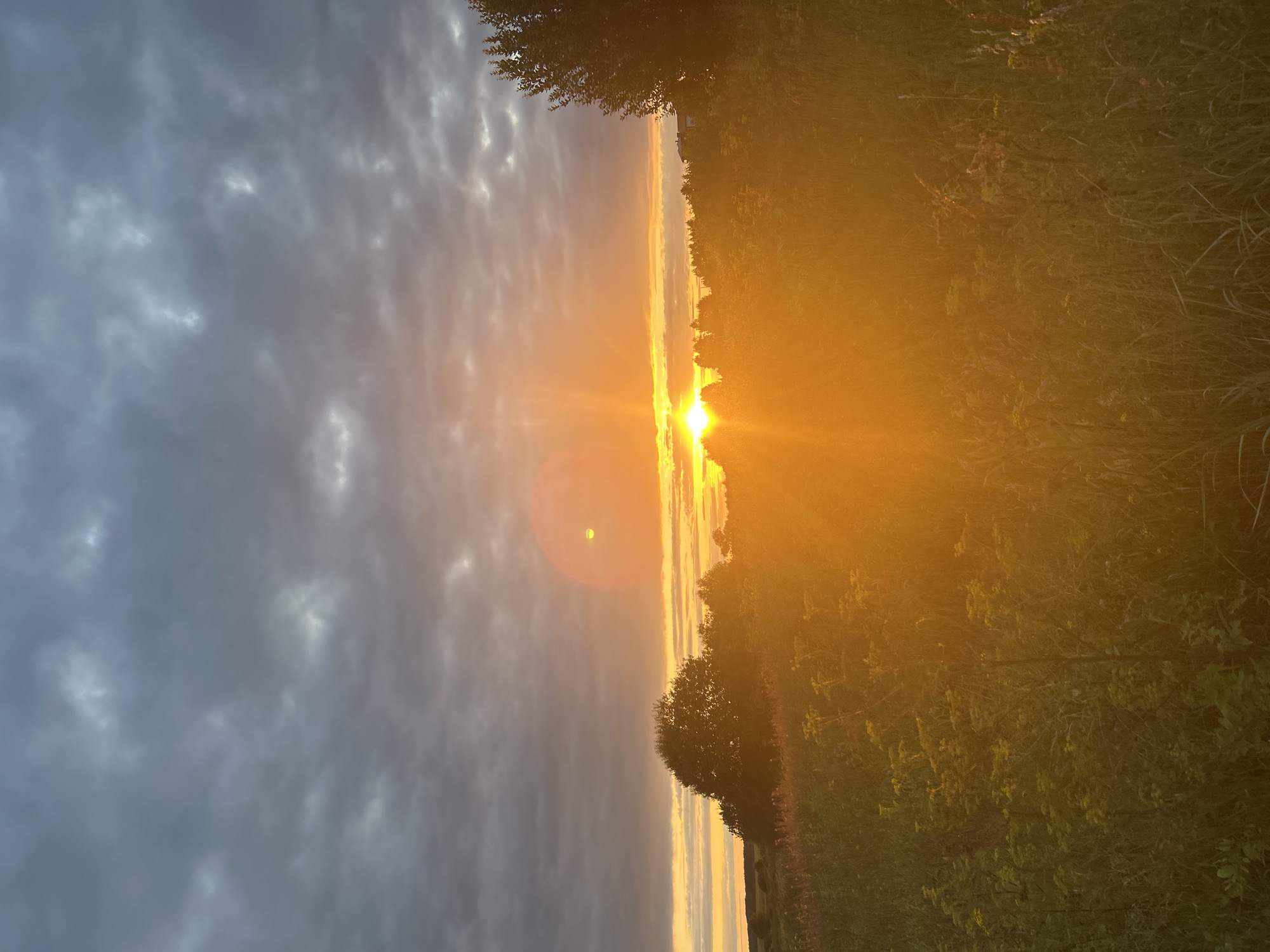 A serene landscape shot captures a vibrant sunset over a field in Kalitsino, Russia. The sky is a dramatic tapestry of dark, brooding clouds interspersed with streaks of warm orange and yellow light emanating from the setting sun. The sun itself is a brilliant orb, its rays fanning out and casting an intense golden glow across the scene. In the foreground, a dense field of tall grasses and wildflowers is illuminated by the warm light, creating a soft, ethereal atmosphere. Silhouetted against the bright sky are scattered trees and a distant line of foliage, adding depth and texture to the composition. The overall impression is one of natural beauty and tranquility at the close of day.