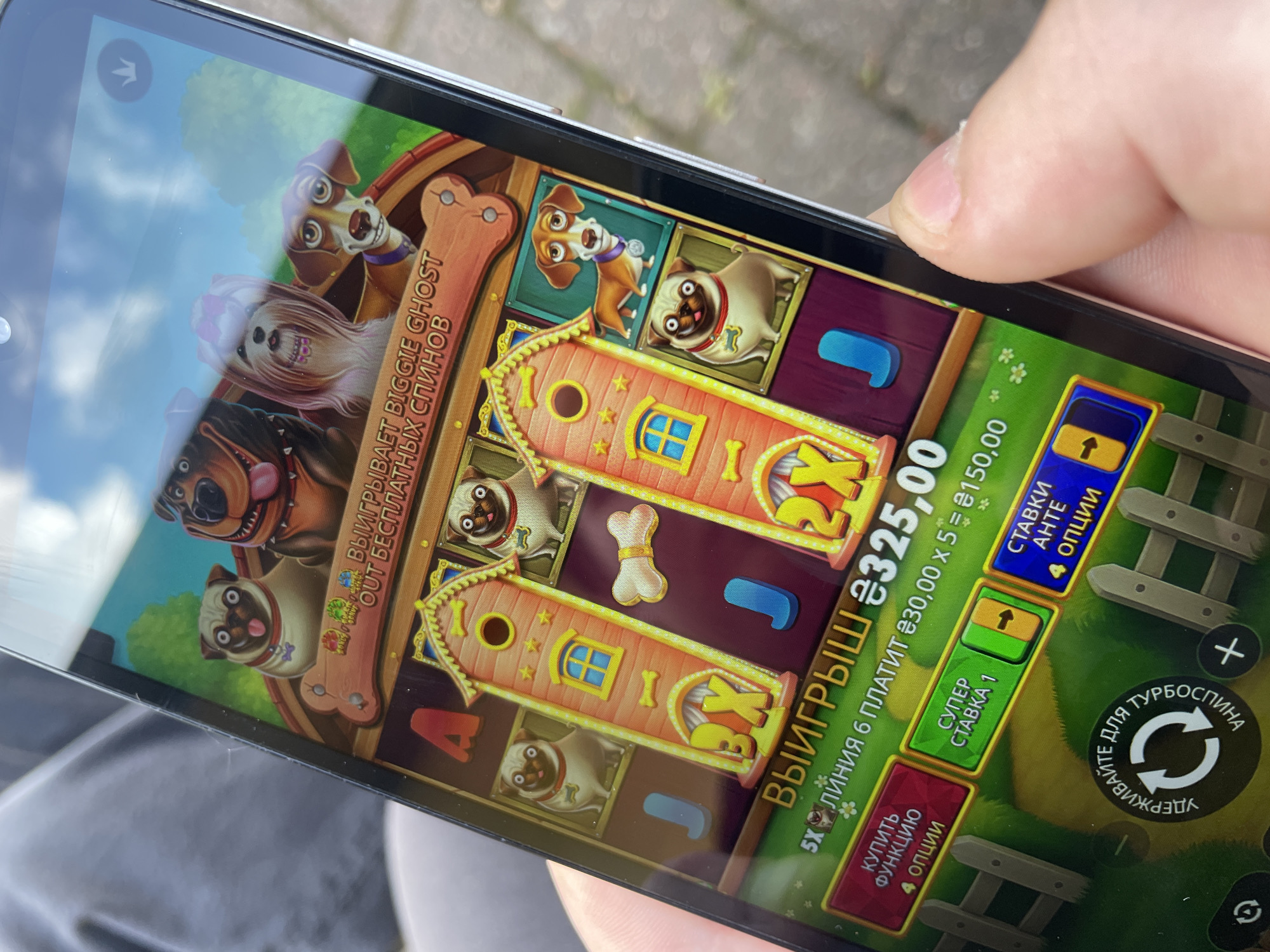 A person is holding a smartphone displaying an online slot machine game featuring dog-themed imagery. The screen shows winning combinations and options to buy features and adjust bets. The setting appears to be outdoors.