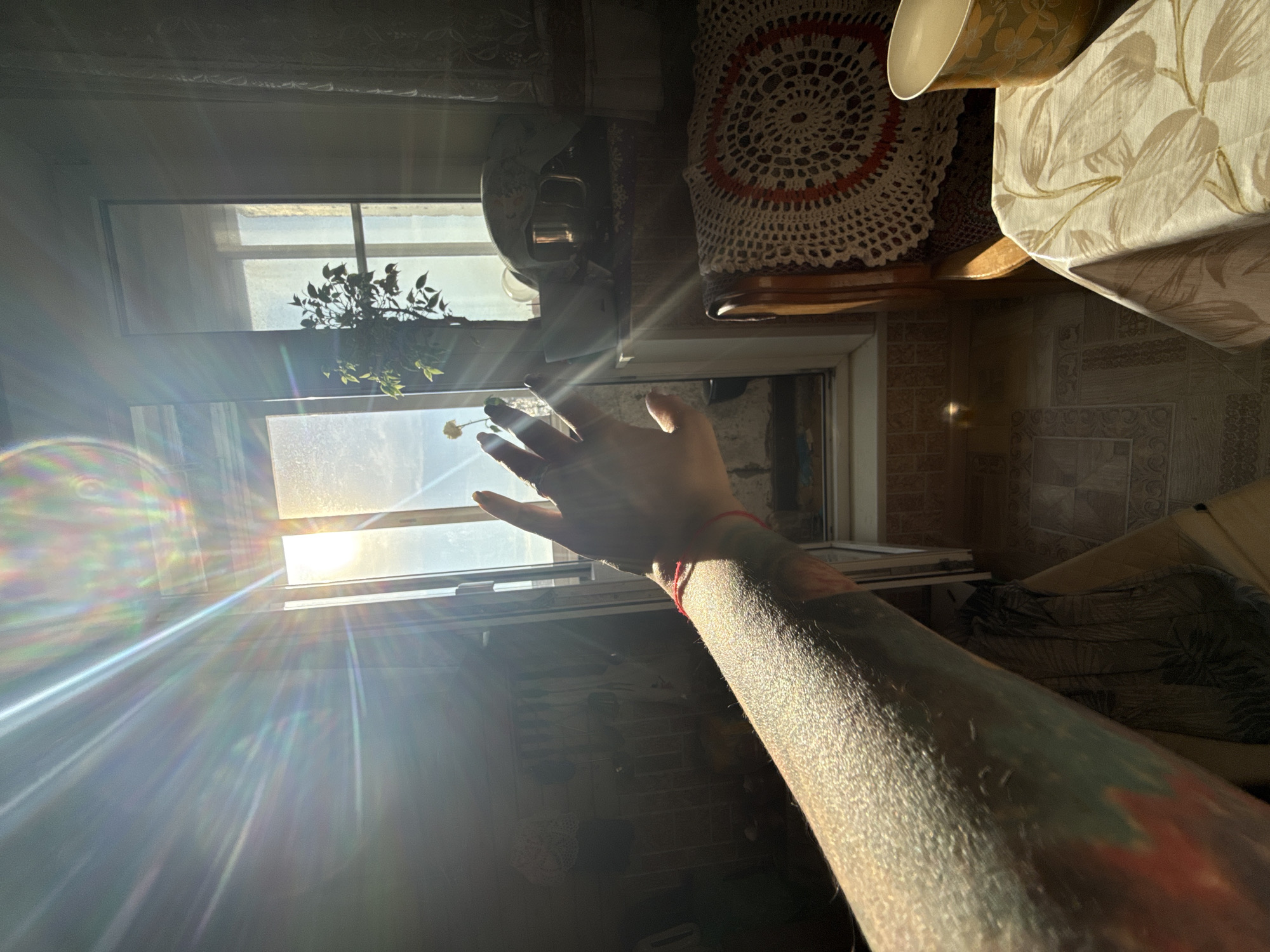 This image depicts an indoor domestic scene, illuminated by strong direct sunlight entering through a large window or balcony door, in the city of Moscow, Russia. A human left forearm and hand are prominently positioned in the lower-left to central foreground, extended towards the bright light source. The skin on the forearm is textured and highlighted by the sunlight, revealing faint hair follicles and what appears to be a multi-colored tattoo or discoloration with red and blue-green tones. A slender red string or bracelet is wrapped around the wrist. A ring is visible on the ring finger, which also has a small area of green nail polish on the tip.
Outside the window, a single pale yellow flower on a thin stem is visible near the outstretched hand. To the right of the window, a small potted green plant with numerous leaves sits on a shelf or windowsill. The intense sunlight generates significant lens flare and prominent rainbow-colored light streaks across the upper-left and central portions of the frame.
In the mid-ground on the right, a section of a wooden chair is visible, draped with a circular, white crocheted doily featuring an orange or reddish central ring pattern. In the immediate foreground on the right, a table is partially covered by a light-colored tablecloth adorned with a subtle beige leaf pattern. On this table rests a golden-patterned cup or mug. The background on the left side of the room is dimly lit and indistinct, showing what appear to be shelves or kitchen cabinetry with various hanging or placed objects. The floor, visible both through the open window area and inside the room, is tiled with a light, neutral-toned pattern.