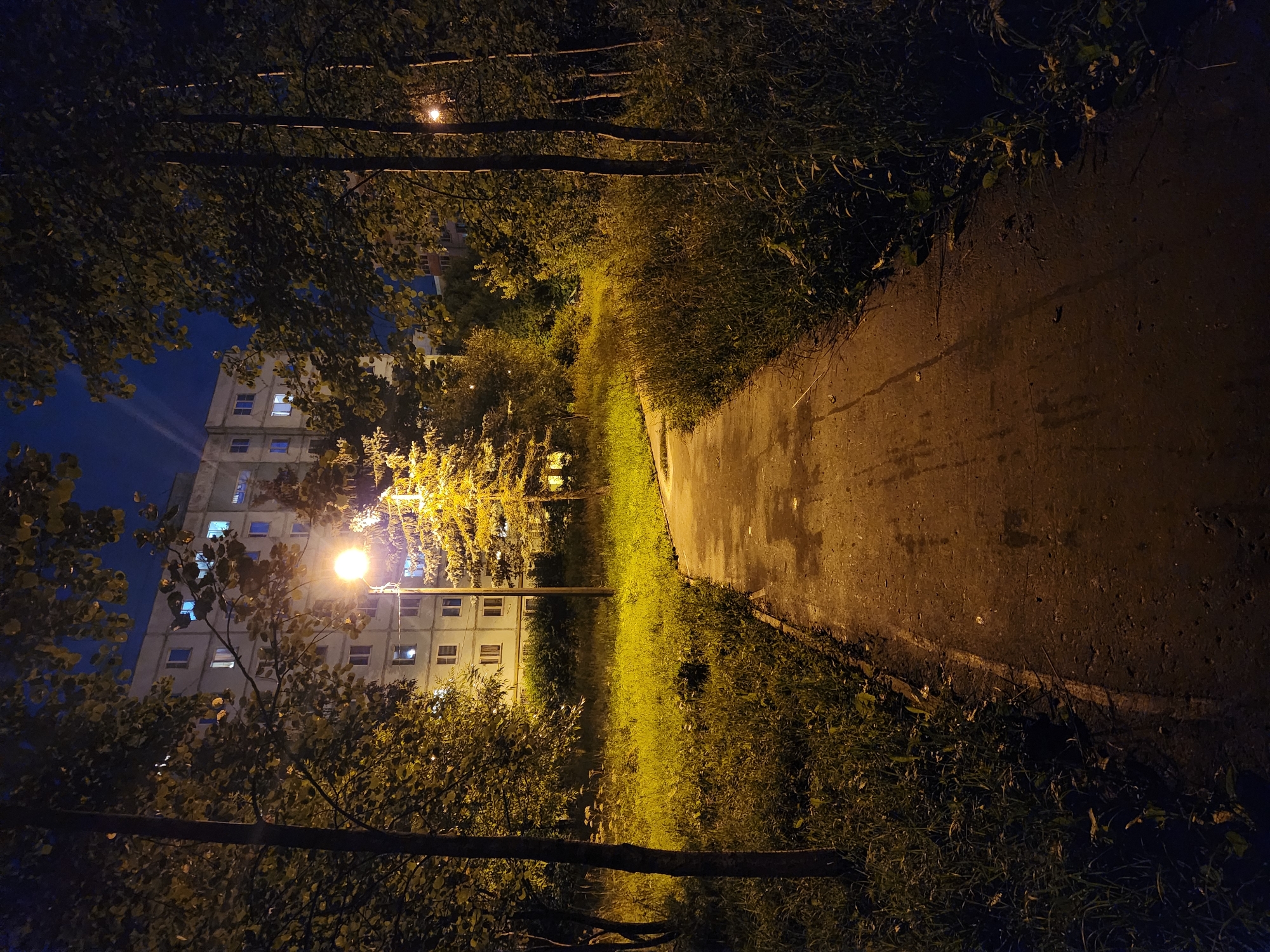 This is a nighttime photograph of a paved walkway leading through a grassy area with trees. A tall building with illuminated windows is visible in the background. A streetlamp illuminates the walkway and a cluster of trees, casting a warm glow. The sky is dark blue. The scene appears to be a public space within a residential area in Vniissok, Russia.
