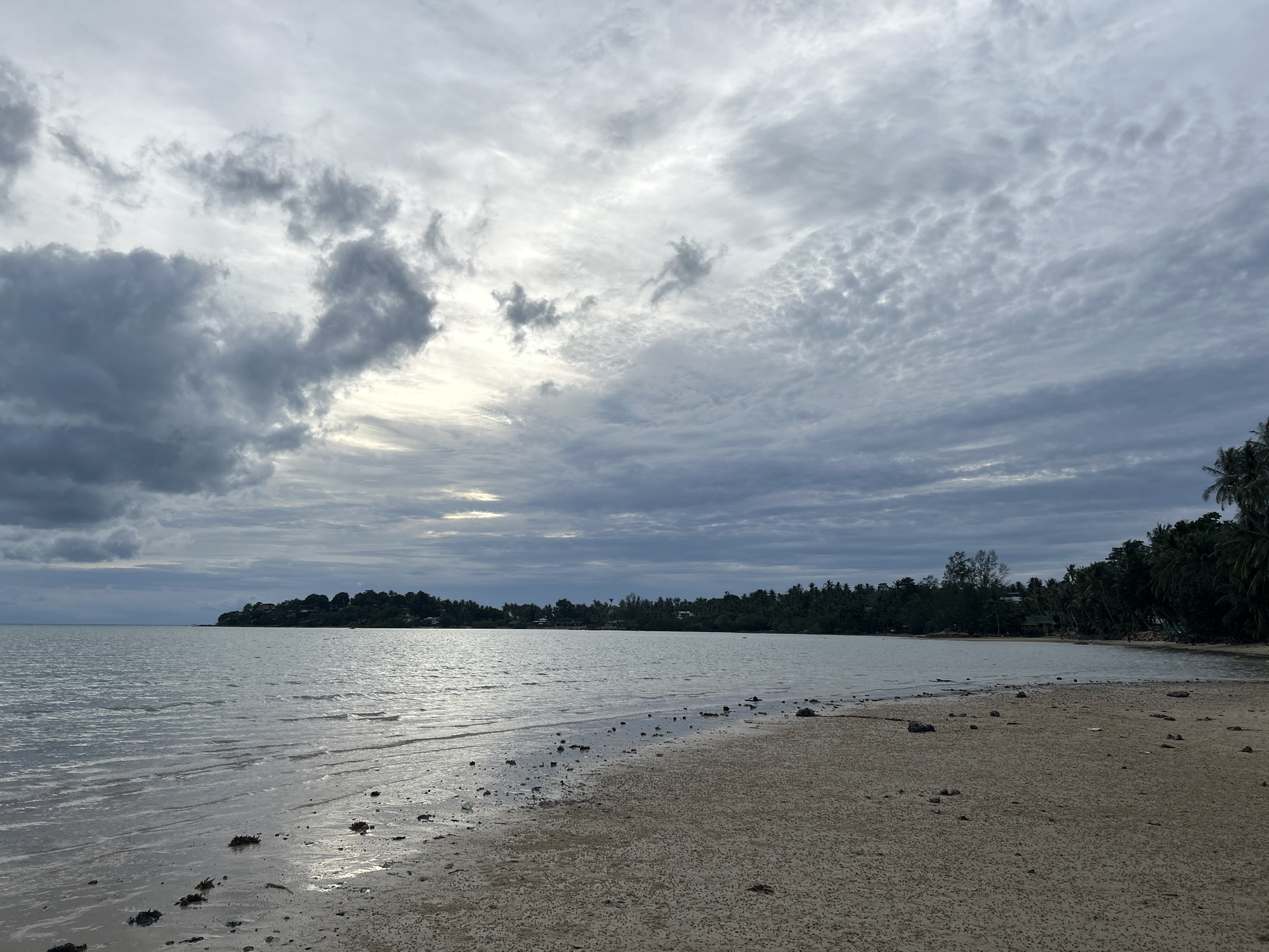 The image shows a tropical beach scene in the Ko Pha-ngan District, Thailand. The sky is heavily overcast with dramatic, textured clouds, with a sliver of lighter sky peeking through on the left. The sea is calm and reflects the muted sky, with gentle waves lapping at the shore. The beach is composed of light-colored sand, with scattered small stones, shells, and some dark seaweed visible along the waterline. In the distance, a tree-lined coastline is visible, with hints of buildings nestled among the trees. The overall atmosphere is subdued and serene, suggesting a cloudy day rather than clear sunshine. There are no people or animals visible in the image.