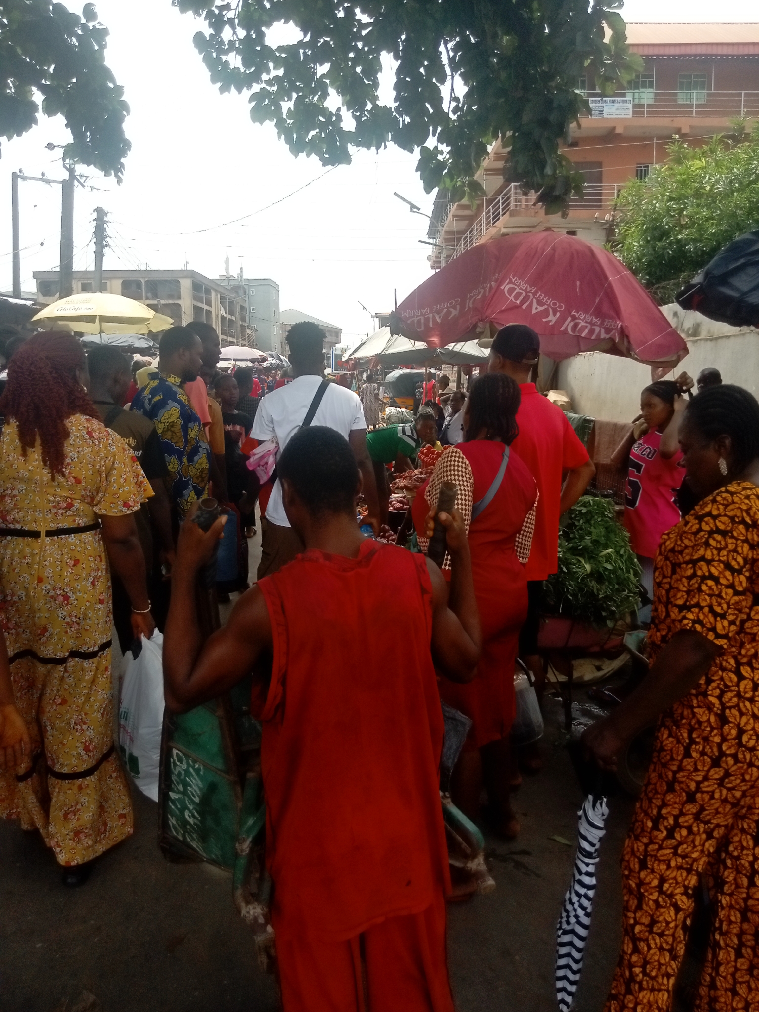 The image captures a bustling scene in Onitsha, Nigeria, likely within a market setting.
**People:** The scene is populated with numerous individuals, predominantly adults. They are dressed in a variety of casual clothing, with some wearing traditional African prints and bright colors. Some are carrying bags, suggesting they are shopping. There are visible interactions between people, indicating trade or social engagement.
**Subjects:** The primary subject is the crowded marketplace activity. A man pushing a cart is also a prominent subject, perhaps a porter or vendor.
**Objects:** Umbrellas, some branded with "KALDI COFFEE FARARM", provide shade. Vegetables are visible on a cart. Bags are carried by shoppers.
**Actions:** People are walking, seemingly shopping, interacting, and transporting goods.
**Interactions:** The people are interacting and engaged in commercial exchanges.
**Environment:** The scene is an outdoor marketplace with buildings visible in the background. There is vegetation visible, including trees providing shade. The light is bright, suggesting a sunny day. The text “GOODBEN GLOBAL TRAVELS & TOURS LTD” can be seen on a building in the background.