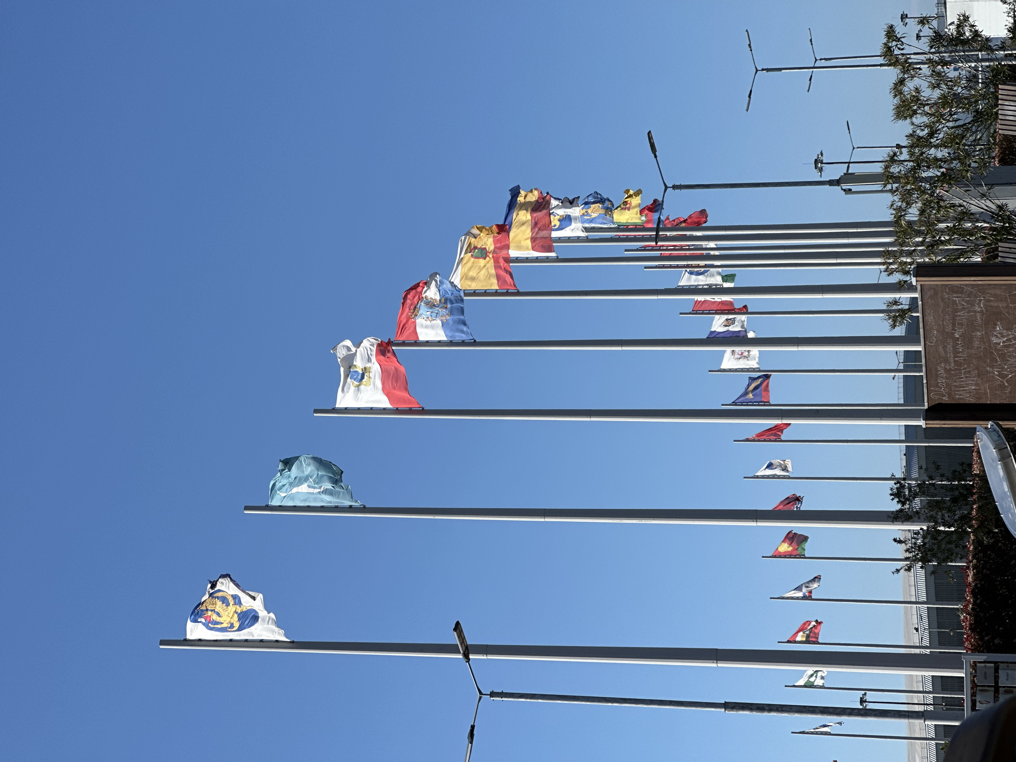 The media file displays an outdoor scene captured under a clear, bright blue sky. Numerous flags are prominently featured, mounted on tall, slender poles that extend diagonally from the lower left to the upper right of the frame, suggesting the image is rotated from a standard upright orientation.
The flags exhibit a wide variety of colors, patterns, and national or regional emblems, unfurling in what appears to be a gentle breeze. Among the identifiable flags are the flag of Spain (horizontally striped red, yellow, red with a coat of arms), the flag of Andorra (vertically striped blue, yellow, red with a coat of arms), and the historical flag of Sardinia (a white field with a red cross and four Moor heads). Many other flags, though not distinctly identifiable due to distance or partial furling, display diverse combinations of red, white, blue, yellow, and green.
The flagpoles are arranged in several parallel rows, creating a sense of depth and expanse. Integrated into this display are modern streetlights with multi-directional illumination arms, also extending diagonally across the frame. In the background, particularly on the right side, sparse green foliage from trees or bushes is visible, along with glimpses of contemporary architectural structures. At the far lower right, a dark board or wall surface features indistinct white handwritten text, possibly Cyrillic script, but it is largely illegible. The scene conveys a grand public display, characteristic of international venues or significant civic areas in places like Sirius, Russia.