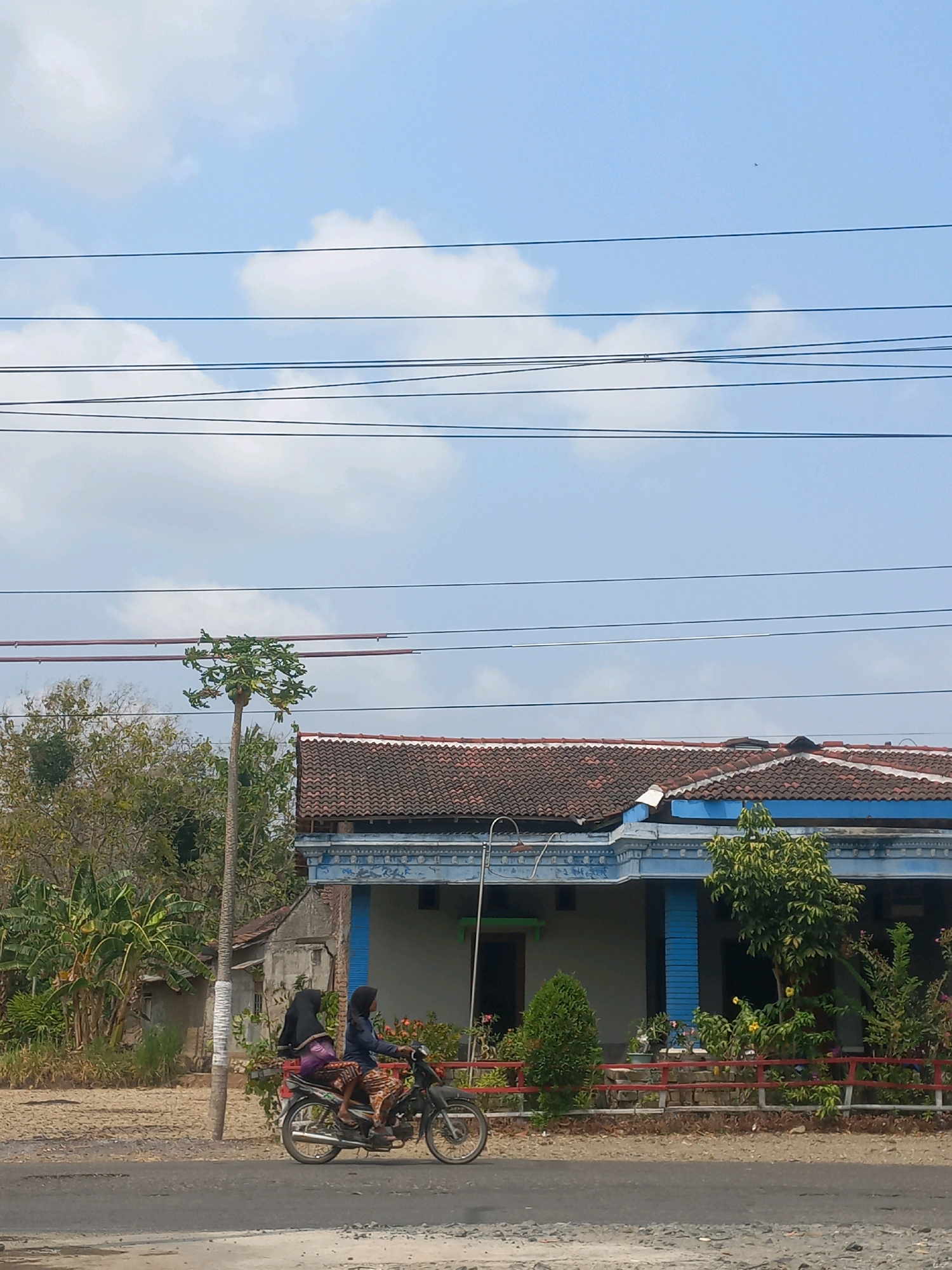 The image shows a street scene in Baturetno, Indonesia. Two individuals are riding a motorcycle on a paved road. The person in the front is driving, and the person in the back is seated behind them. Both individuals appear to be wearing headscarves and traditional clothing. The motorcycle is dark-colored.
To the right of the road is a building with a tiled roof and blue trim. There are plants and trees in front of the building, enclosed by a red fence. To the left of the road, there is a tall, slender tree with green leaves and some visible fruit, possibly a papaya tree. Further in the background, there are more trees and vegetation, and another building. Overhead, several power lines stretch across the frame against a backdrop of a blue sky with scattered white clouds. The overall environment appears to be rural or suburban.