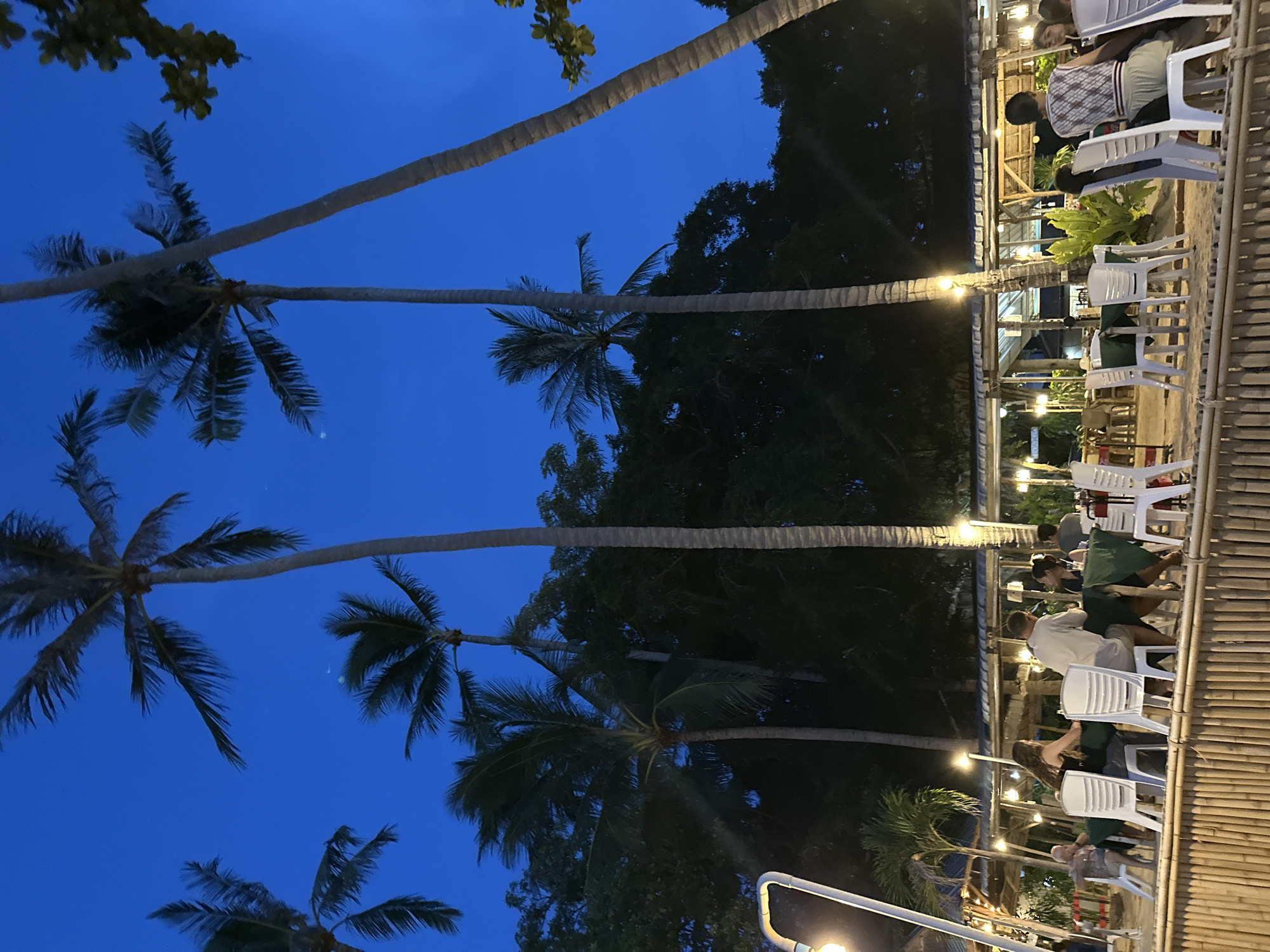 In Baan Thong Po, Thailand, a beachfront restaurant is captured at dusk. The sky is a deep twilight blue, with tall palm trees silhouetted against it. Diners are seated at tables covered with green tablecloths, illuminated by warm, low-hanging lights. The foreground features a bamboo fence, and beyond it, the sandy beach leads to the restaurant's seating area. White plastic chairs surround the tables, some occupied by people eating and conversing. In the background, the restaurant structure is visible, with a thatched roof and open sides, suggesting a tropical, open-air dining experience.