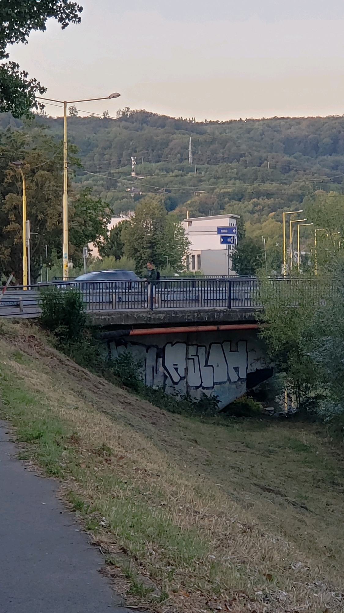 The image shows a concrete bridge with graffiti on its underside, located in Prešov, Slovakia. A person stands on the bridge, leaning on the railing, next to a dark-colored car. The bridge spans over a grassy embankment, with a paved path running alongside it in the foreground. In the background, a wooded hillside with communication towers and buildings can be seen. The sky is overcast and the overall lighting suggests it is either early morning or late afternoon. The graffiti on the bridge appears to be in white spray paint, forming stylized lettering.