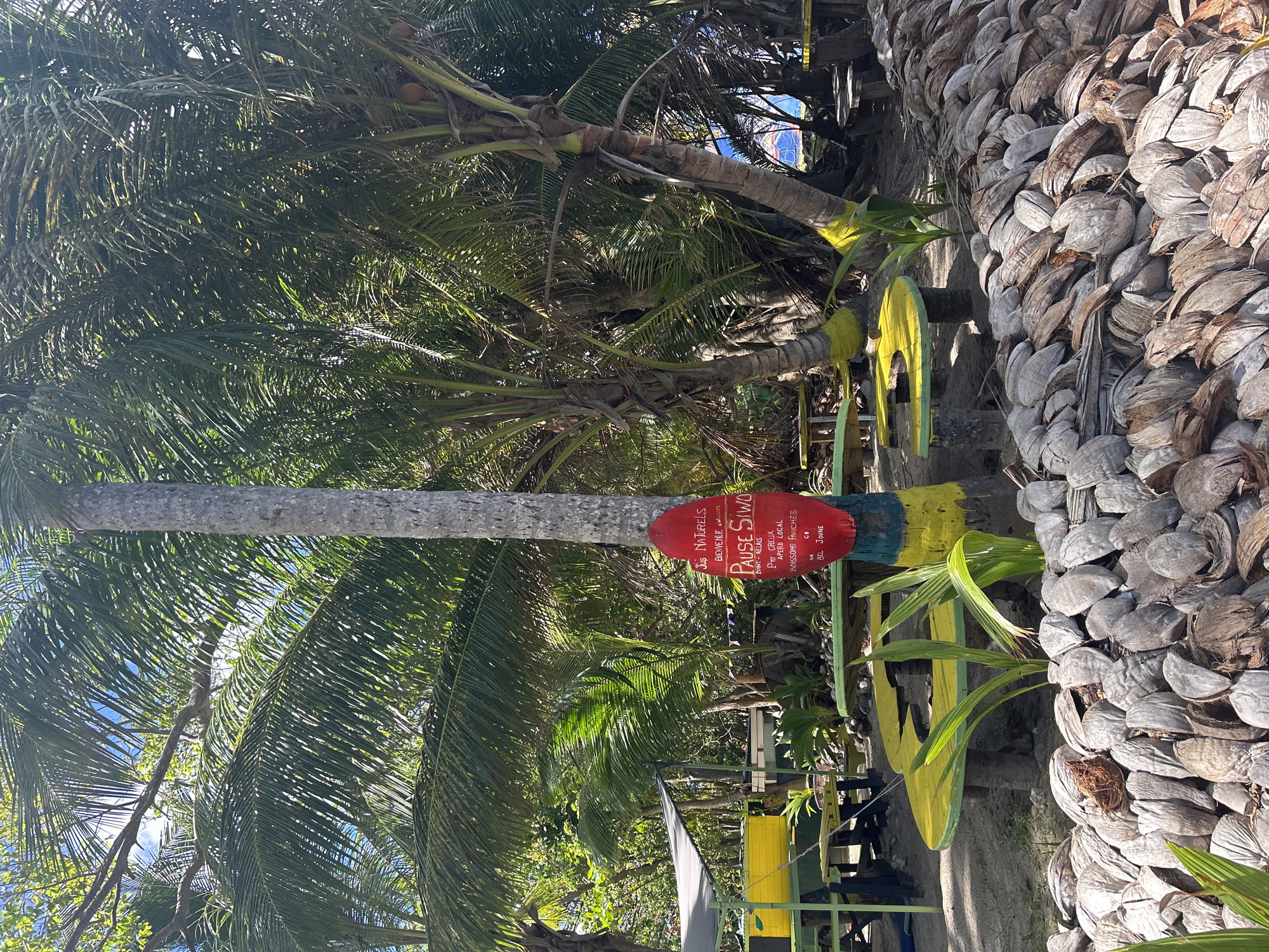 The image shows a palm tree with a red sign reading "Pause Siwo," advertising natural juices and local drinks, in what appears to be a tropical beach setting. A yellow and green painted structure sits at the base of the tree, decorated with coconut shells, possibly indicating a seaside establishment in Sainte-Anne, France. The lighting suggests it's daytime, with the sun shining through the palm leaves.