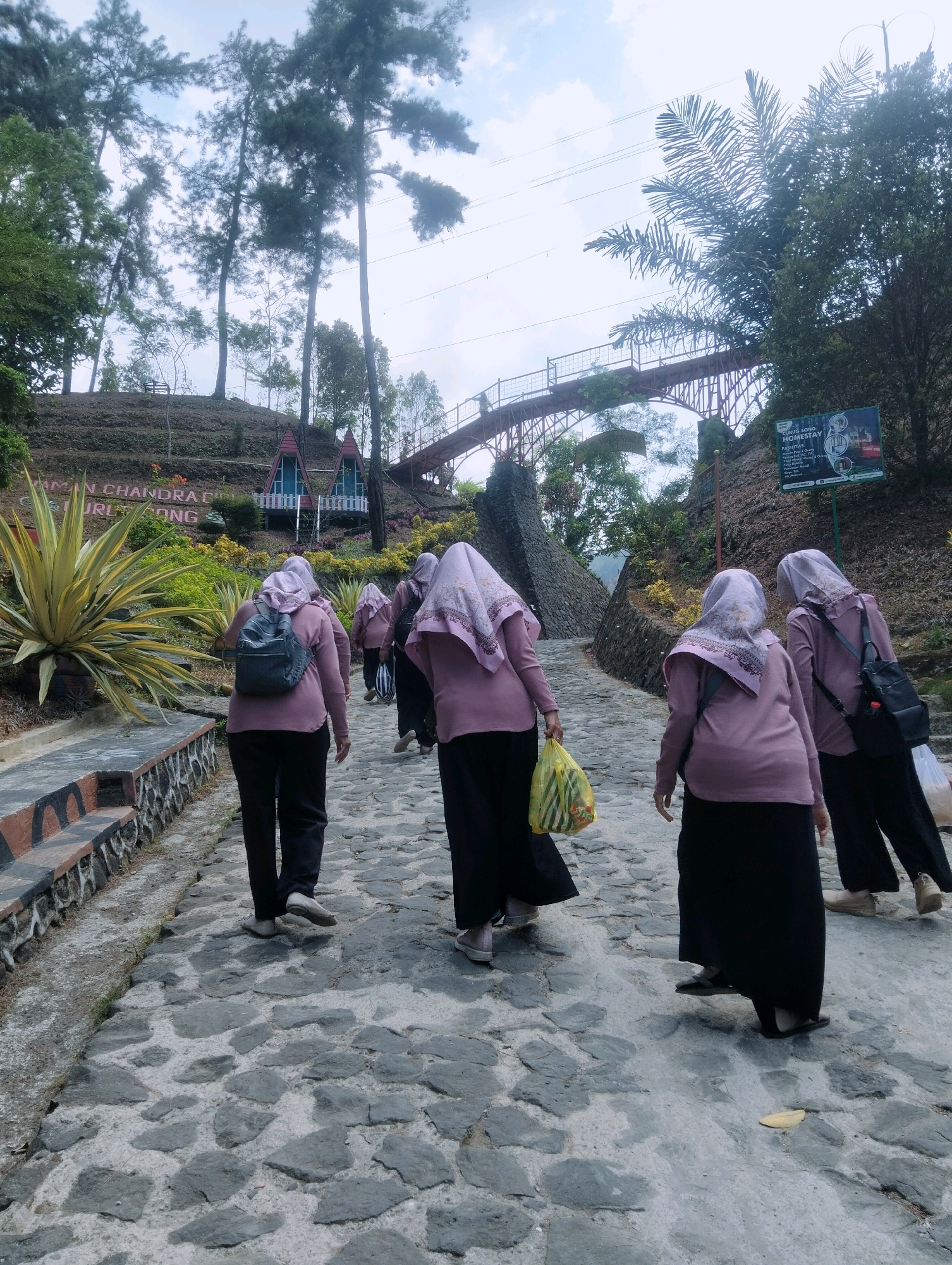 This image captures a group of five women walking away from the camera up a stone-paved pathway. They are all wearing long, loose-fitting purple tops and black skirts or pants, and most have on headscarves. The woman in the front left is carrying a grey backpack, and the woman in the middle is carrying a yellow plastic bag filled with items. The pathway is bordered on the left by a low, decorative stone wall with orange and black patterns and steps leading up. To the left of the path, there is a large, spiky green plant with yellow accents. In the background, there are several tall trees, a red arched bridge, and two small, triangular, red-roofed buildings. A green billboard with text and images is visible on the right side of the background, indicating "CURUG SONG HOMESTAY" and listing facilities, suggesting the location is a tourist destination near Kaliwedi, Indonesia. The sky is overcast.