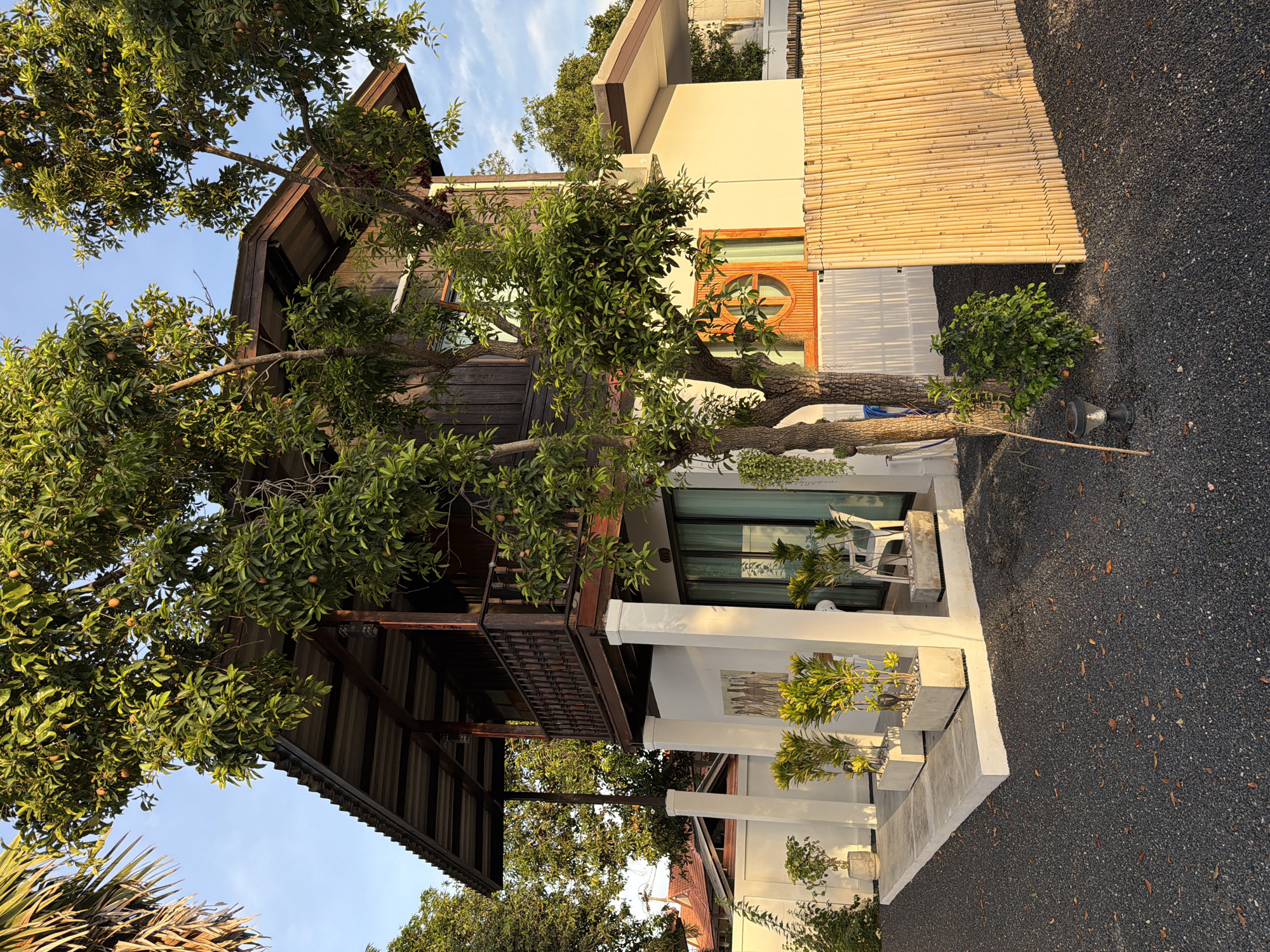 The media file depicts a multi-story wooden and white house with a dark gravel yard and lush greenery. A large tree with many leaves and small fruits shades the front of the house. The house has multiple balconies and windows, with some furniture visible on the ground floor. A bamboo screen covers part of the wall on the right side of the house. The scene appears to be set outdoors during the day, with clear blue skies and soft lighting indicating either morning or late afternoon. The overall impression is of a peaceful, tropical environment, likely a private residence or a guesthouse. No people are visible in the image, and there is no discernible text.
