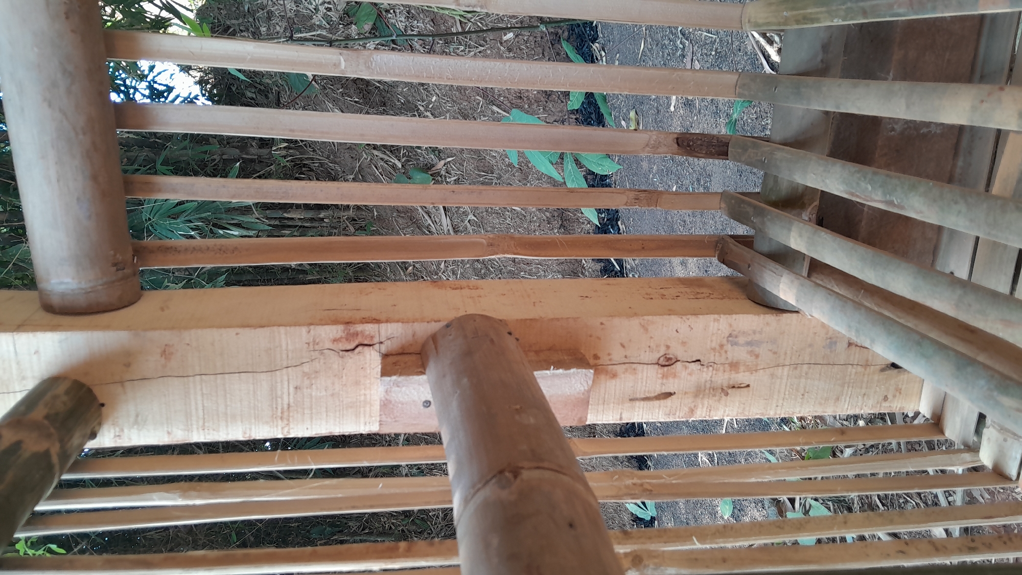 The image shows a close-up view of a wooden and bamboo structure, possibly a railing or part of a small building, located outdoors in Sumedang, Indonesia. The primary elements are vertical bamboo poles and horizontal bamboo crossbeams, some of which are connected to a larger, rectangular wooden post. The wooden post displays a prominent vertical crack. In the foreground, there are several horizontal bamboo slats. Behind the structure, a dirt ground is visible with some dry leaves and a few green plants. The background features a dense growth of bamboo stalks and foliage, suggesting a natural or semi-natural environment. The lighting indicates it is daytime. There are no people or animals visible in the image. The focus is on the construction and materials of the structure.