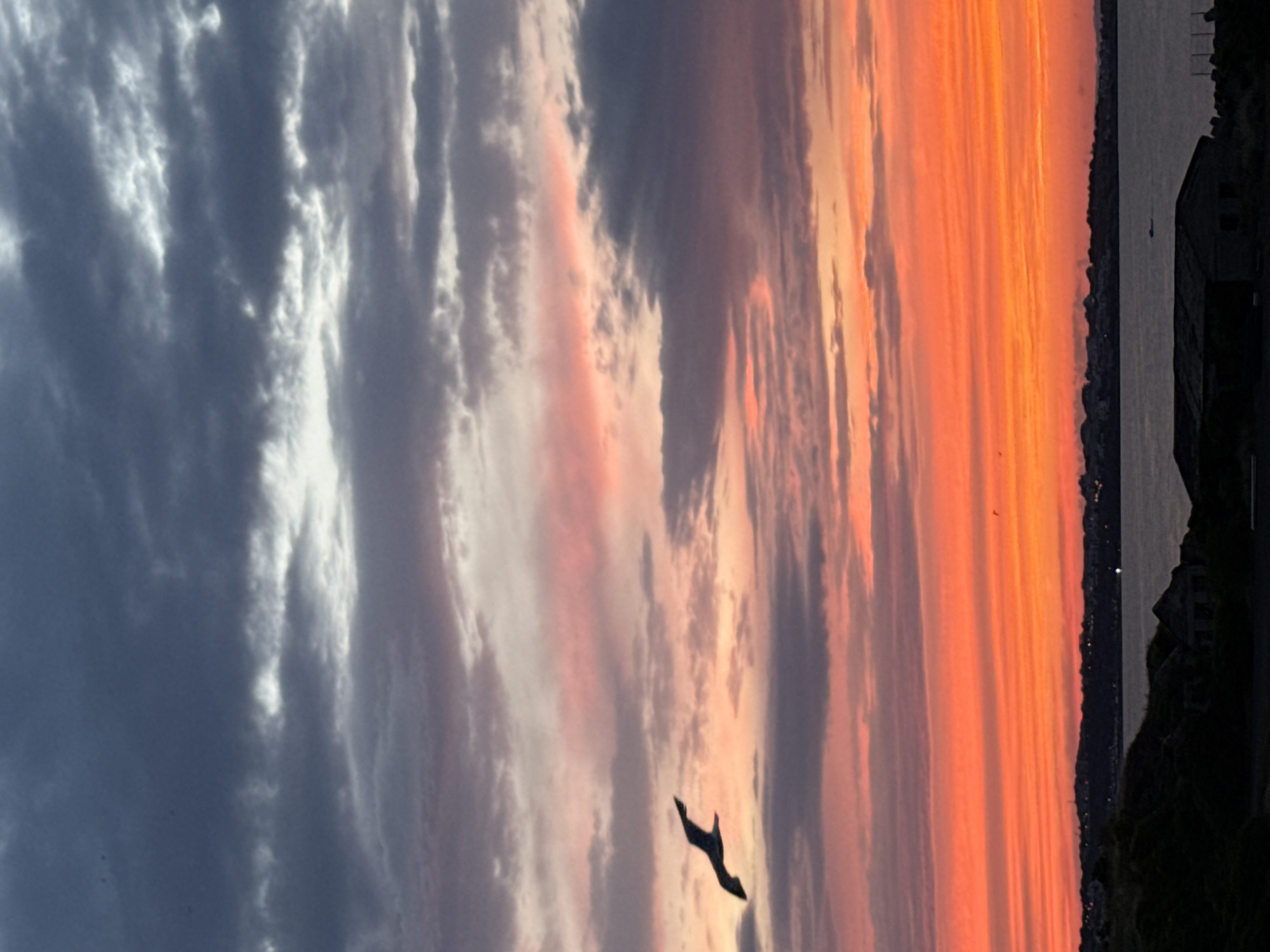 This image depicts a dramatic sunset over the sea, captured from a coastal vantage point. The sky is a vibrant spectacle of color, transitioning from deep grays and blues on the left to fiery oranges and pinks on the right, with clouds streaked across the horizon. In the foreground, a silhouette of a bird in flight is visible against the colorful sky, adding a dynamic element to the scene.
To the right of the image, a dark silhouette reveals the coastline. A body of water, likely the sea, is visible, reflecting the twilight hues. Along the shore, there are hints of land with some vegetation or structures, and a building or two are faintly visible in the distance, suggesting a populated area or a small settlement. The lighting suggests it is either sunrise or sunset. The overall mood conveyed by the image is one of natural beauty and tranquility, with the dramatic sky being the primary focus. The location is Sozopol, Bulgaria, which is known for its picturesque coastal views and historical significance.
