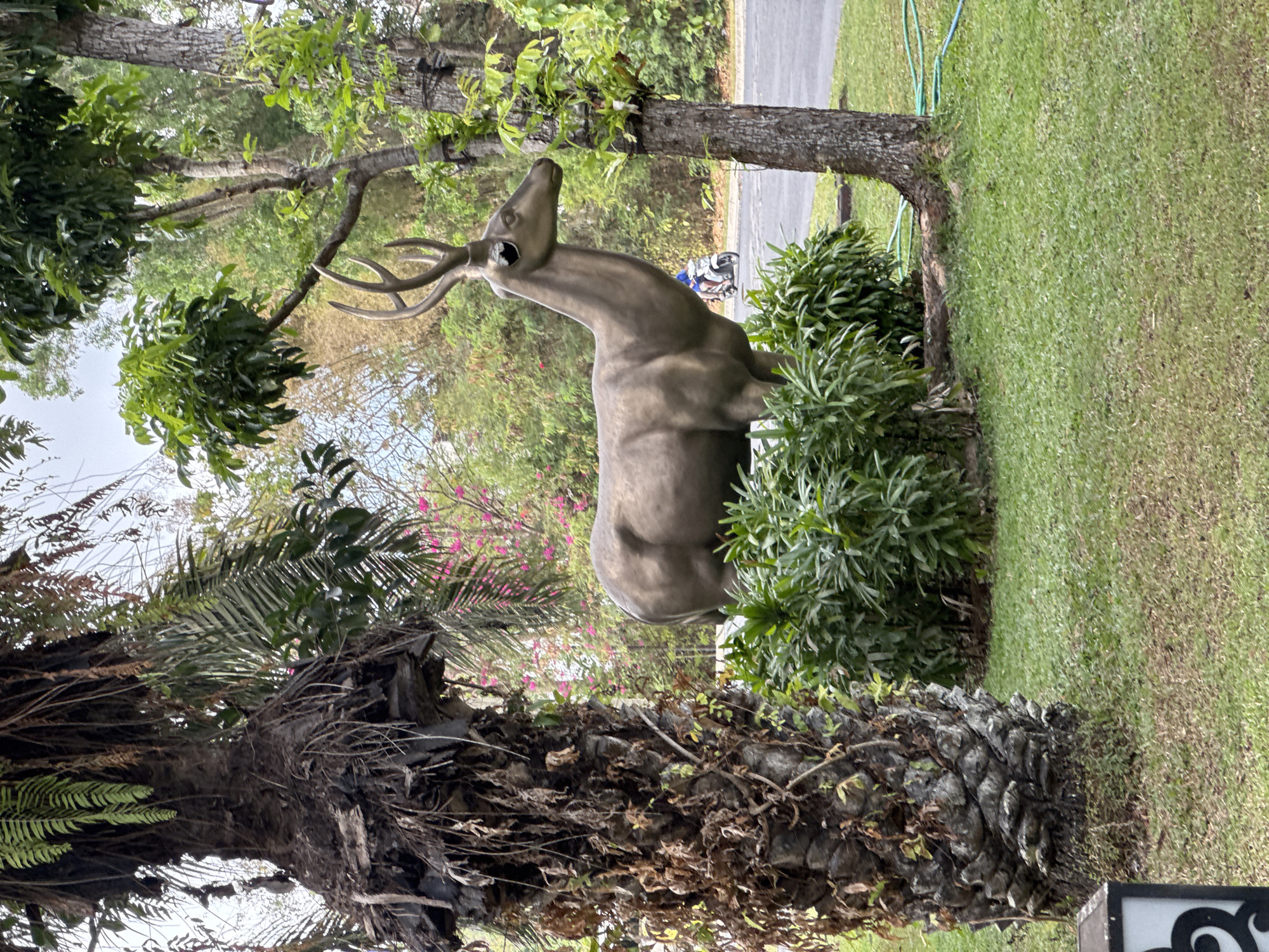 The image depicts a bronze statue of a deer with large antlers standing in a grassy area. The statue is located outdoors, surrounded by various trees and lush green foliage. In the background, a road is visible with a person riding a scooter. A large palm tree trunk is prominently featured on the left side of the image, partially obscuring the statue. The overall scene appears to be in a park or garden setting. The location is Kuta Selatan, Indonesia.