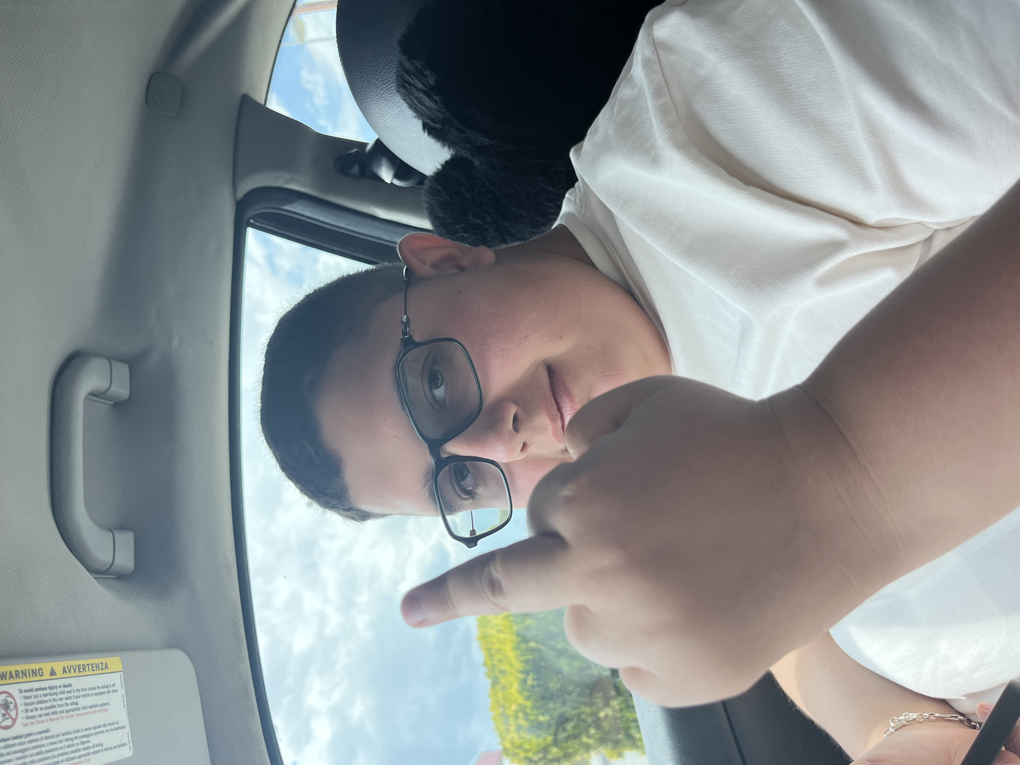 This image depicts a person sitting inside a car, possibly in Radinovo, Bulgaria. The individual is wearing glasses and appears to be giving the middle finger to the camera. A warning label is visible on the car's visor, written in English and Italian. Through the car window, greenery and a sky can be seen.