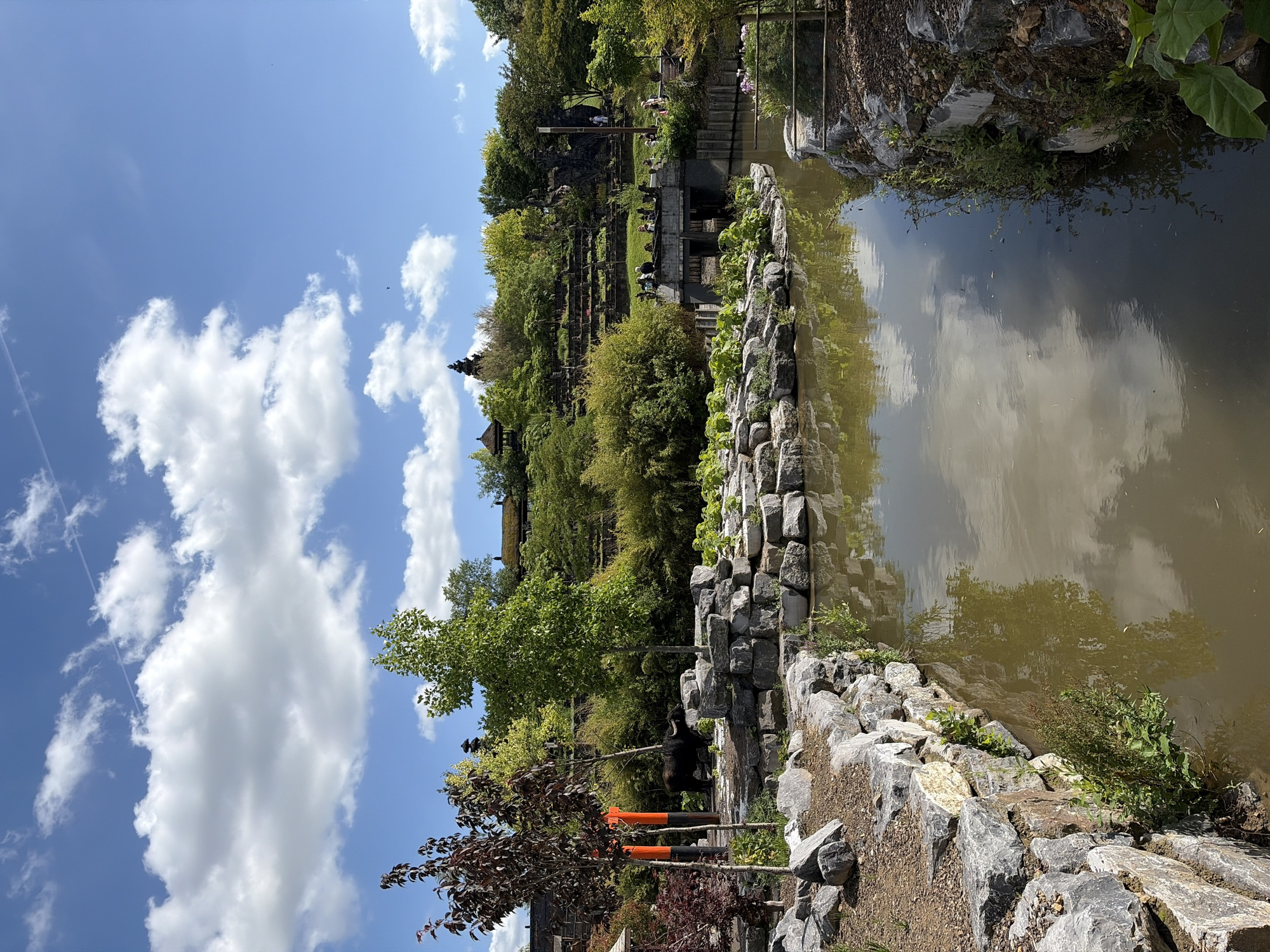 The image shows a scenic view of Pairi Daiza, a zoo and botanical garden located in Cambron-Casteau, Belgium. In the foreground, a calm body of water reflects the sky and surrounding greenery. The water is bordered by a rocky embankment with various plants growing between the stones.
In the middle ground, a dark-colored water buffalo is visible standing amongst trees and rocks. Behind the buffalo, there are tall orange pillars. Further back, lush green vegetation covers rolling hills. A stone bridge spans the water, with several people gathered on it.
The background features more greenery and structures characteristic of the park's Asian-themed zones, including what appears to be tiered gardens and pagodas on a hilltop. The sky is a vibrant blue, dotted with white, fluffy clouds, suggesting a bright, sunny day. The overall atmosphere is serene and natural, showcasing a blend of wildlife, landscape, and cultural architecture within the park.