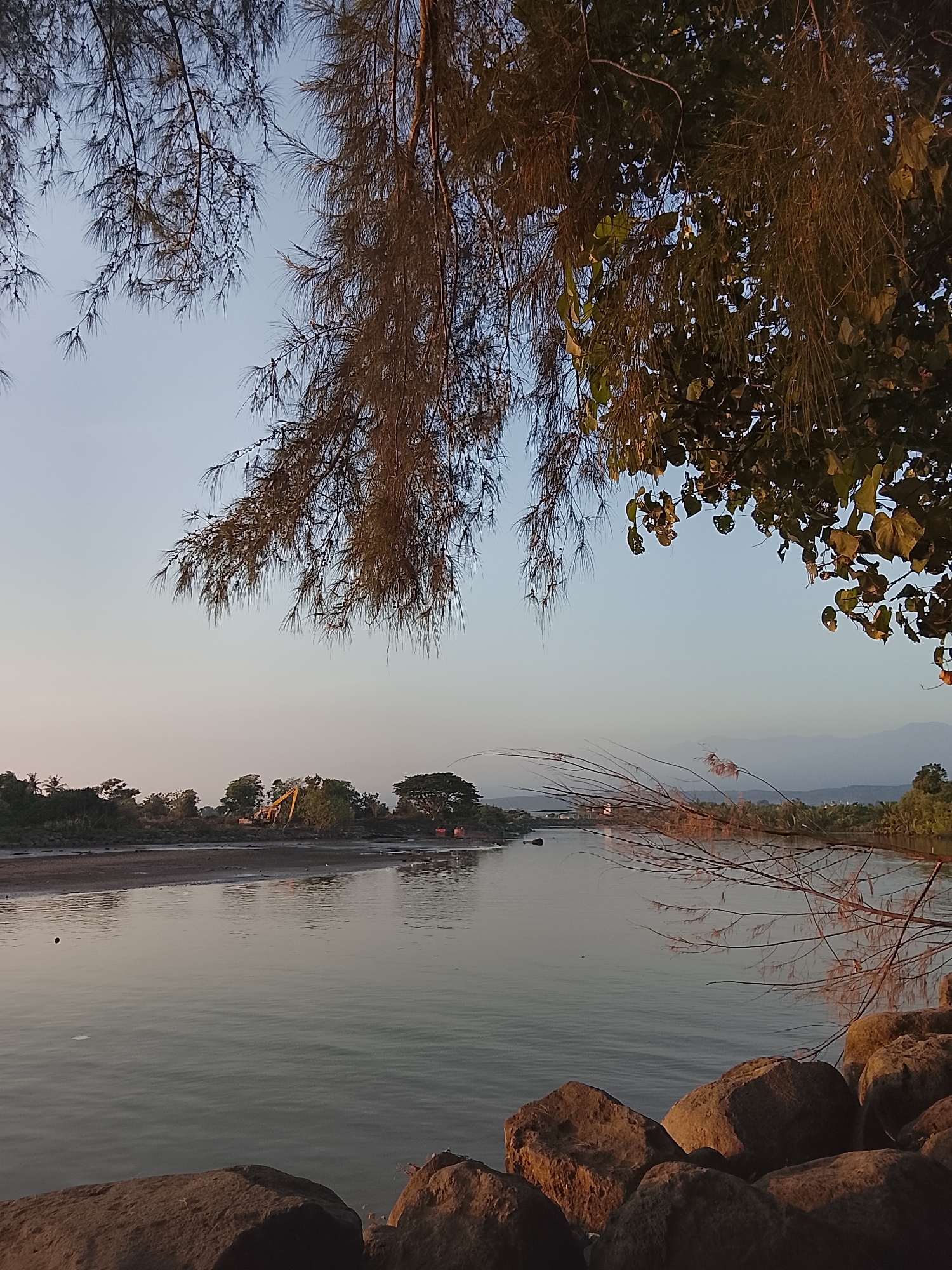 The image depicts a tranquil scene along the river in Reudeuep, Indonesia, during what appears to be the late afternoon or early evening. In the foreground, several large, rough-textured rocks line the edge of the water, suggesting a natural shoreline or embankment. The river itself is calm, with a smooth, reflective surface that mirrors the soft, pale blue of the sky and the distant landscape.
The middle ground showcases a section of the riverbank with scattered vegetation. Notably, a yellow excavator is visible amongst the trees, hinting at ongoing construction or land management activities. Further in the distance, a line of trees forms a lush backdrop, with some appearing taller and more mature than others. The overall impression is one of a developing area, where natural beauty coexists with human intervention.
The upper portion of the image is dominated by the branches of two trees. One on the left features delicate, feathery needles, while the tree on the right displays broader, darker leaves. These branches frame the sky, creating a sense of depth and natural enclosure. The sky is a clear, soft gradient of blue, with no clouds visible, indicating a fair weather day. The light suggests a setting or rising sun, casting a warm glow on the rocks in the foreground and the distant landscape. The presence of the excavator suggests a specific area of activity within the broader landscape of Reudeuep.