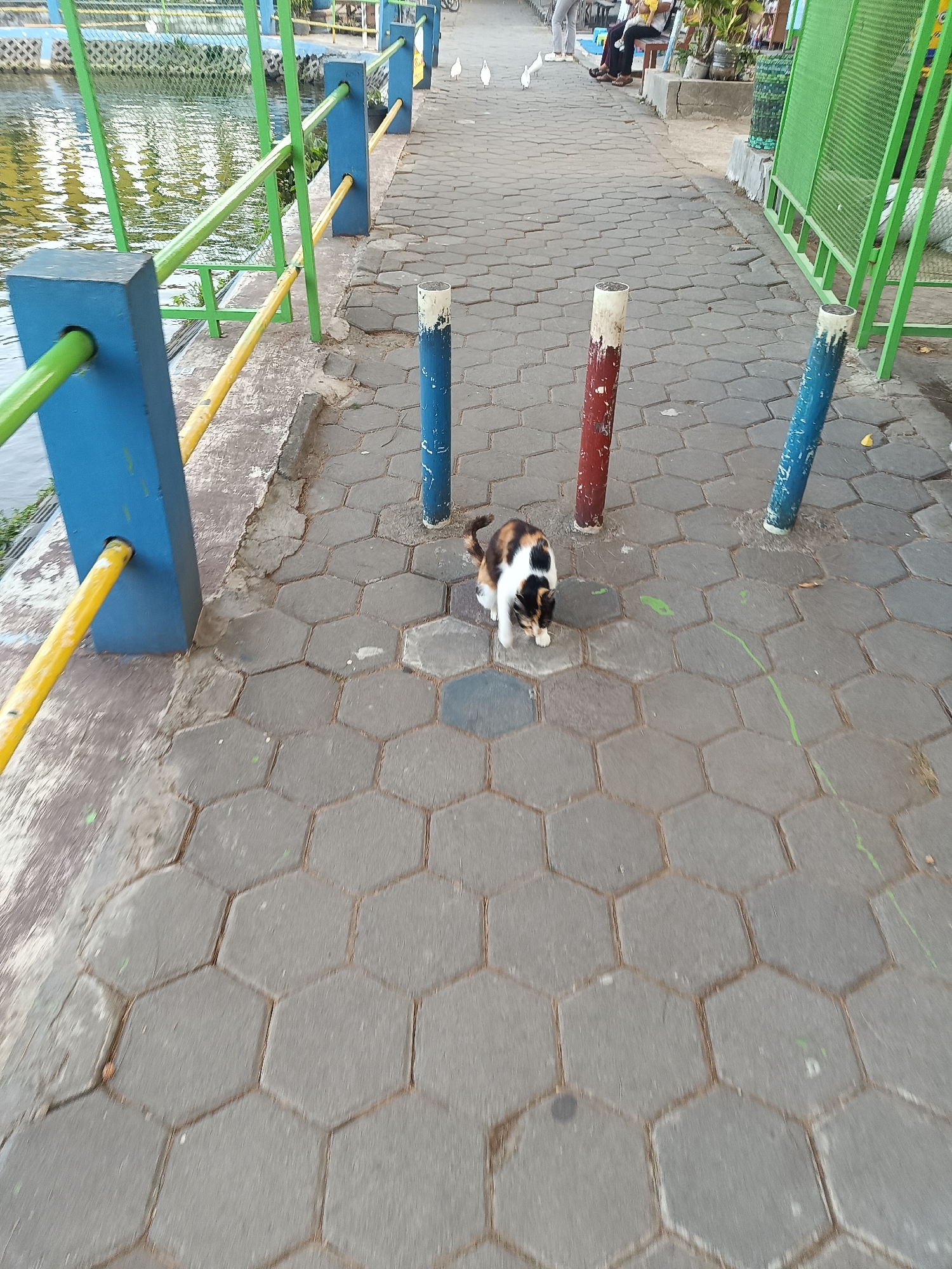 A calico cat with white, black, and orange markings is crouched on a hexagonal-paved walkway. The walkway is bordered by a railing system composed of blue and green posts with yellow and green horizontal bars. To the left of the walkway, there is a body of water. The scene appears to be in a public park or recreational area, possibly near Banguntapan, Indonesia, given the context of the prompt, though this cannot be definitively confirmed from the visual information alone. The cat is facing towards the left and appears to be observing something in that direction. The walkway also features several vertical poles painted in red, blue, and white. In the background, there are some people walking and sitting, and a green fence.