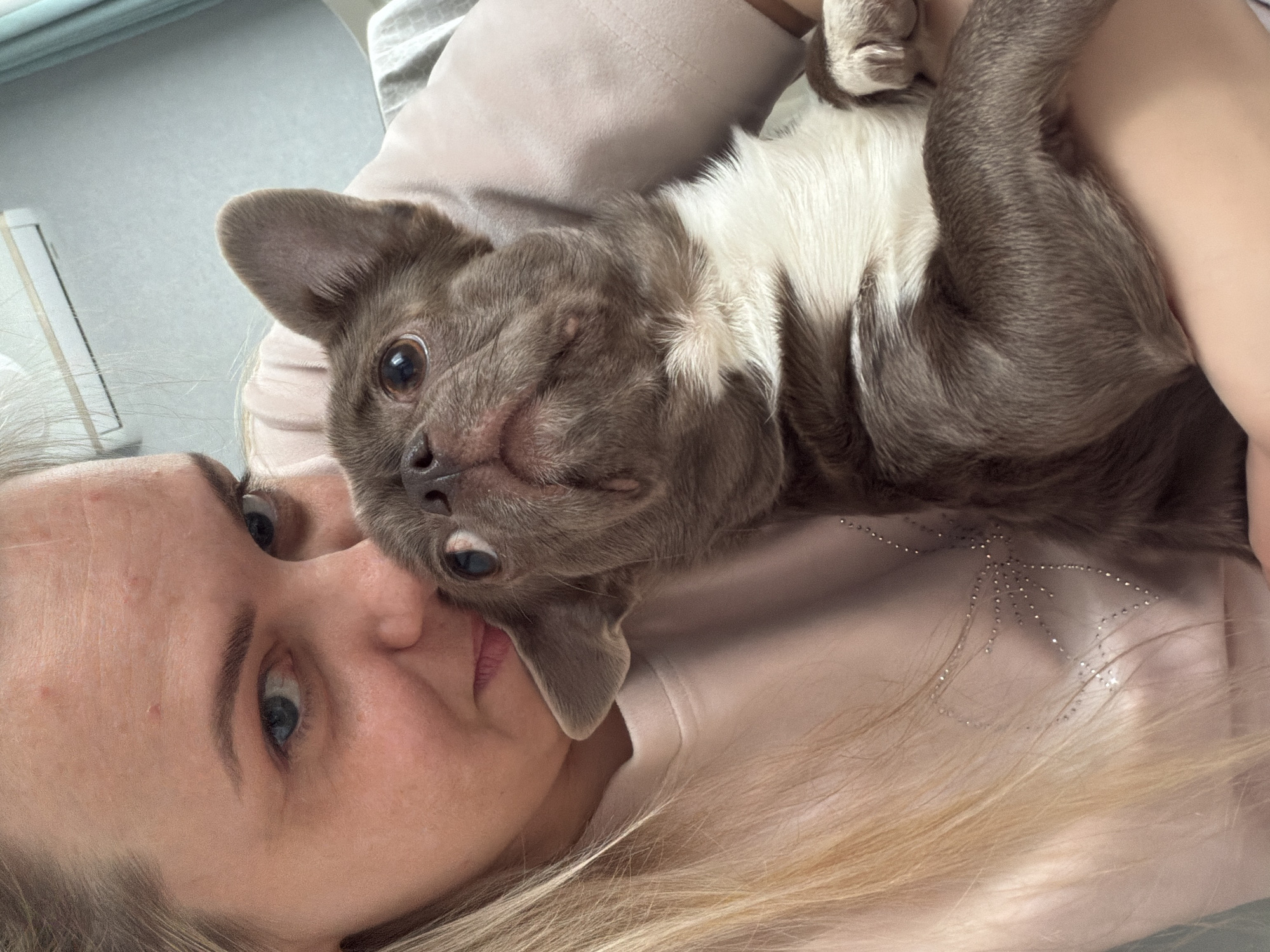An indoor, close-up shot depicts a woman with her pet dog, captured in a selfie-style orientation. The image is rotated, showing the woman's head on the left and the dog on her right, both looking towards the camera.
The woman has light skin, blue eyes, and long blonde hair, part of which is visible at the bottom of the frame. She wears a light-colored, possibly pale pink, top or t-shirt. On her right shoulder, a decorative design made of small, sparkly studs or rhinestones is visible, appearing as an abstract shape or stylized wing. Her expression is calm and affectionate.
The dog is a small breed, possibly a French Bulldog or similar, with short gray-brown fur and a white chest and belly. Its head is slightly tilted, and it looks directly into the camera with wide, dark eyes. The dog appears to be resting on the woman or nestled closely against her.
The background is softly blurred, showing a light-colored pillow or cushion behind the dog, and a light wall or surface in the upper left corner. The overall lighting suggests it is daytime. The scene conveys a moment of closeness and affection between the woman and her pet, likely within a home environment in Votkinsk, Russia. No visible text is present in the image.
