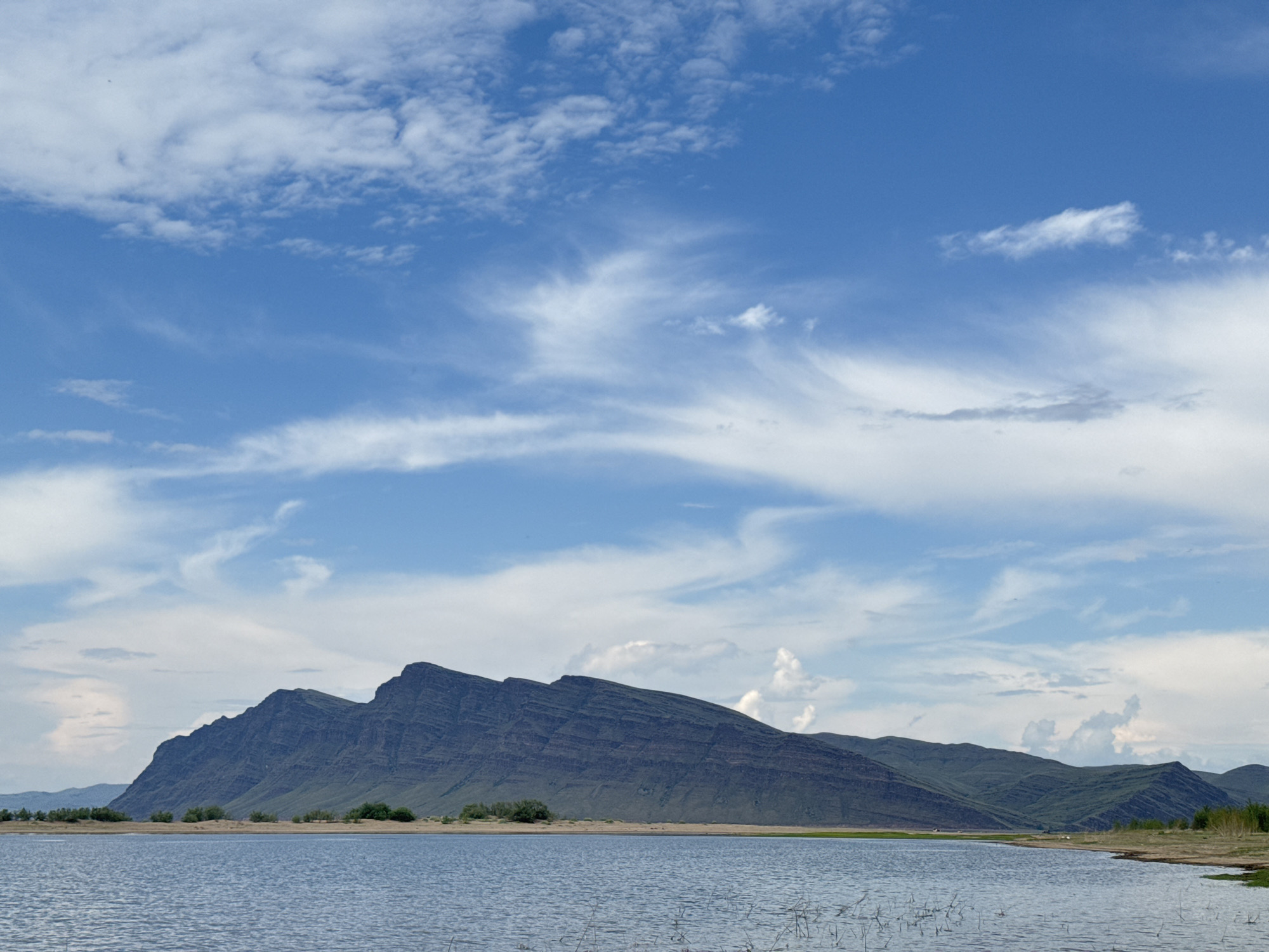 The image depicts a vast, serene landscape with a body of water in the foreground and a prominent mountain range in the background. The water, likely a lake or reservoir, is calm with a rippled surface, reflecting the blue sky and clouds. Scattered dry reeds emerge from the water near the shore. The mountain range is characterized by its layered rock formations, showcasing distinct horizontal striations and rugged, dark slopes. Vegetation, appearing as sparse green bushes and trees, dots the lower slopes of the mountains and lines the shore. The sky is a vibrant blue, adorned with wispy white clouds that are stretched and textured, suggesting a light breeze. The overall impression is one of natural beauty and tranquility. The location is identified as Nikolo-Petrovka, Russia.